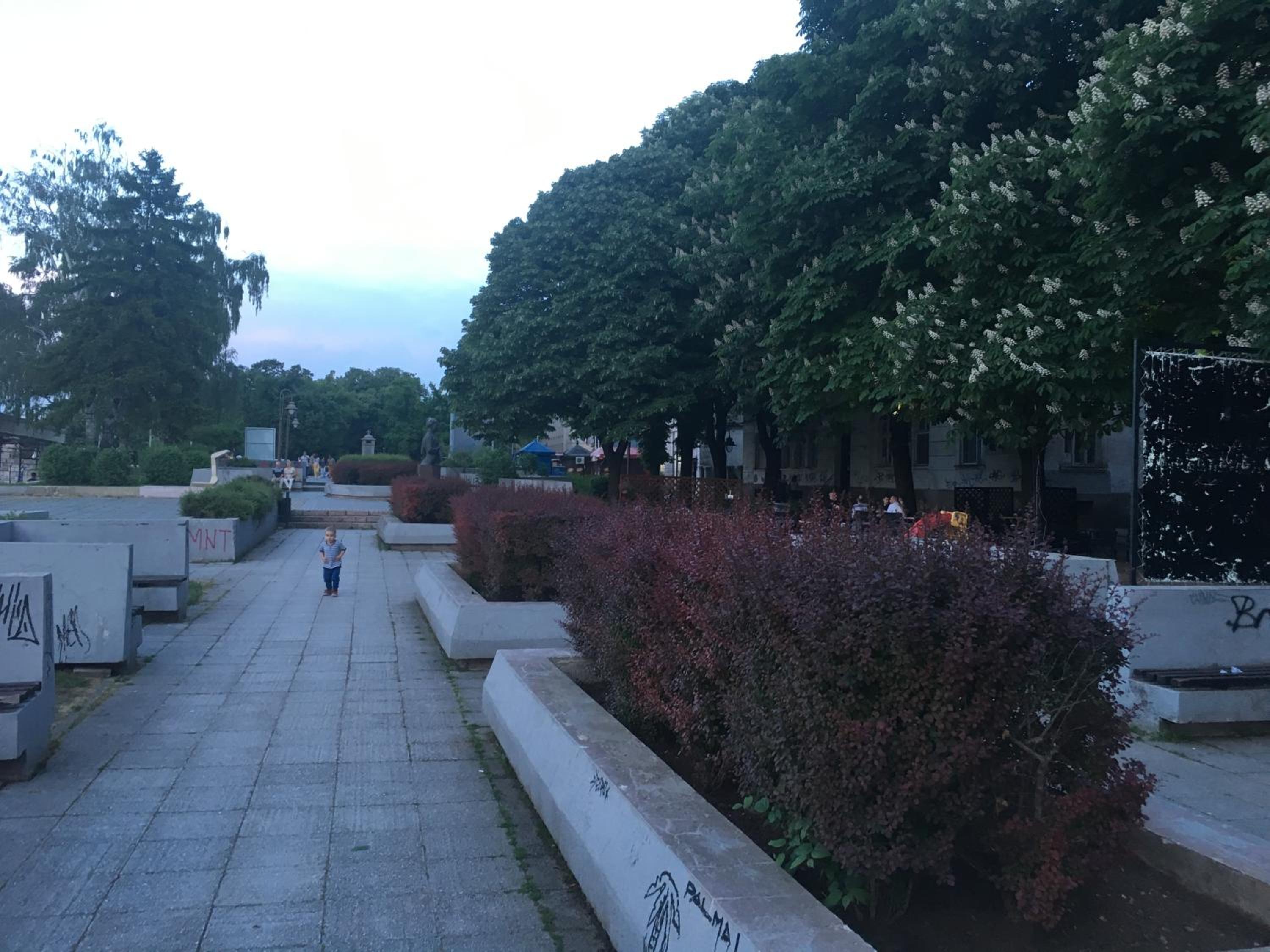 Photo 13