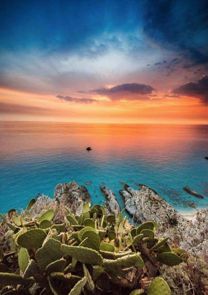 Capo summer