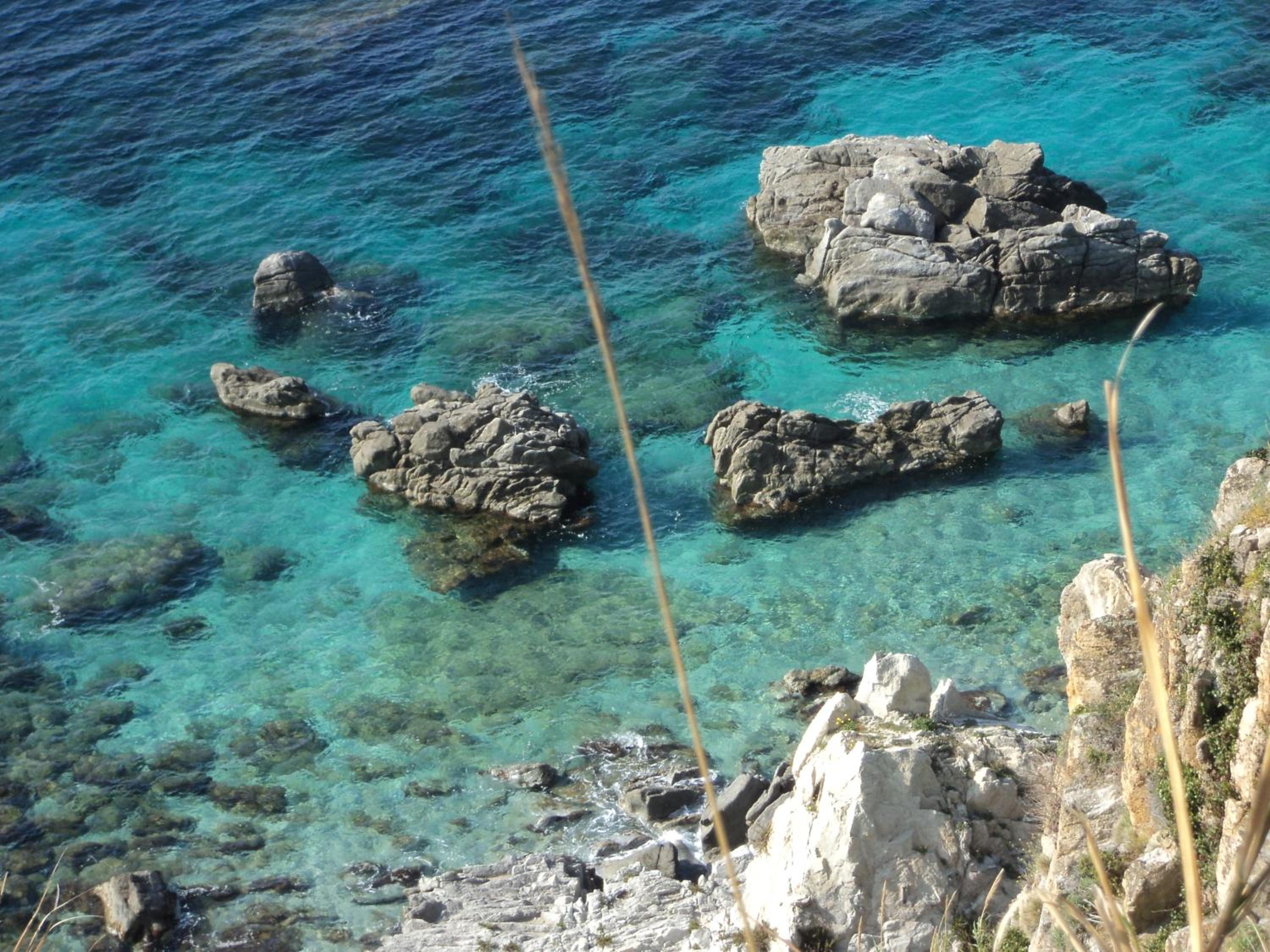 Capo summer