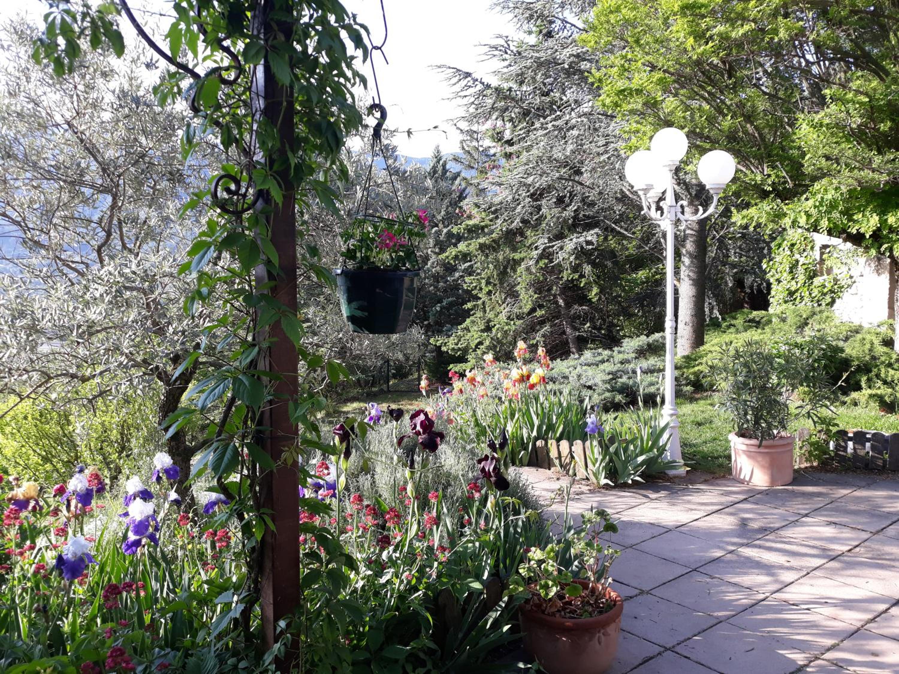 Photo 14