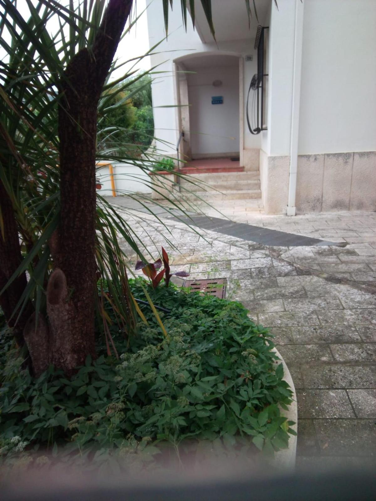 Condominio Ariazzurra S. Bart. photo 4