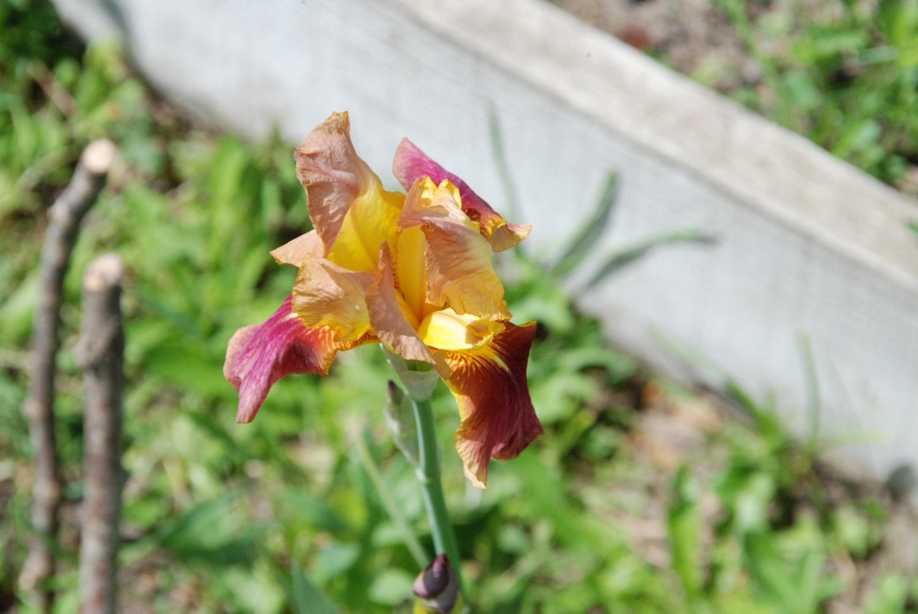 Photo 40