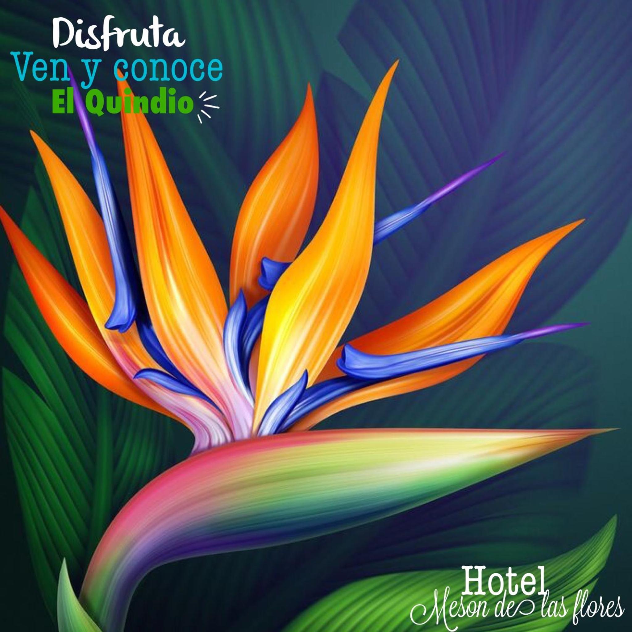 Hotel Meson de las Flores