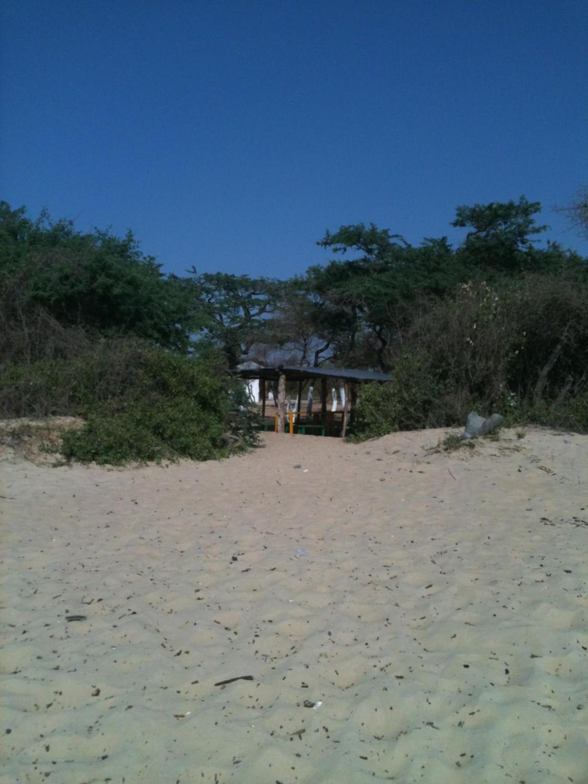 Photo 51