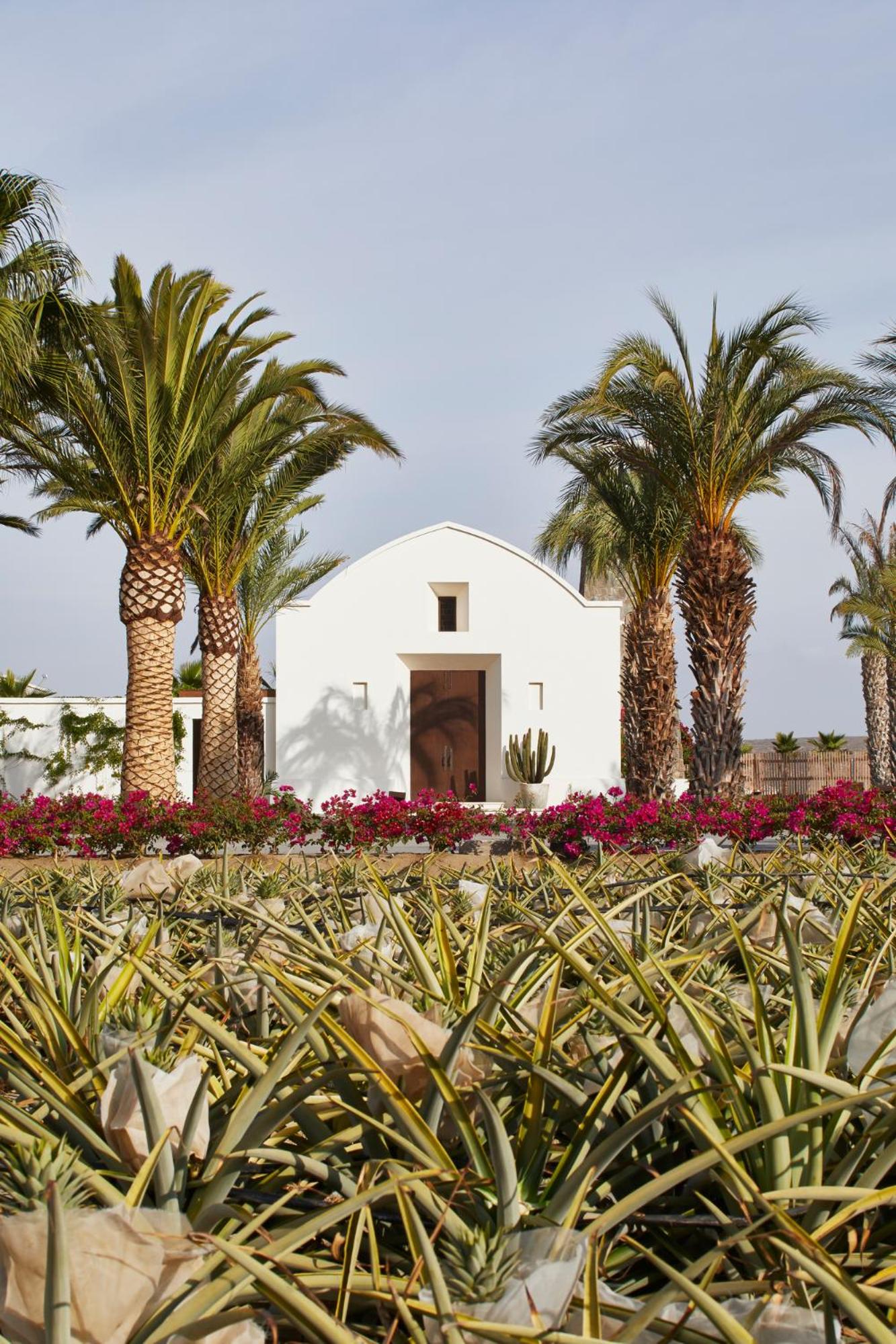 Hotel San Cristobal Adults 15+ - Image 1