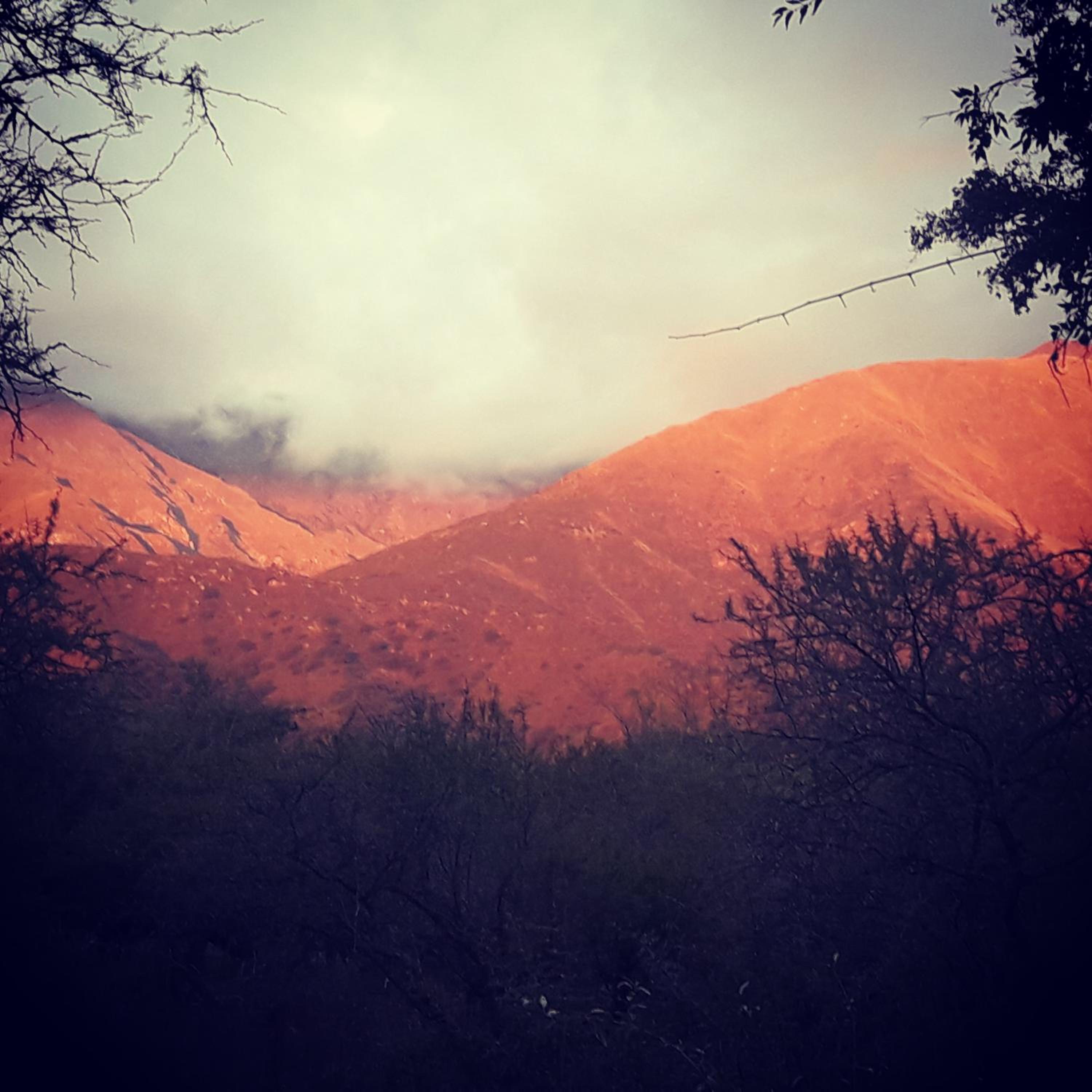 Samsara Traslasierra