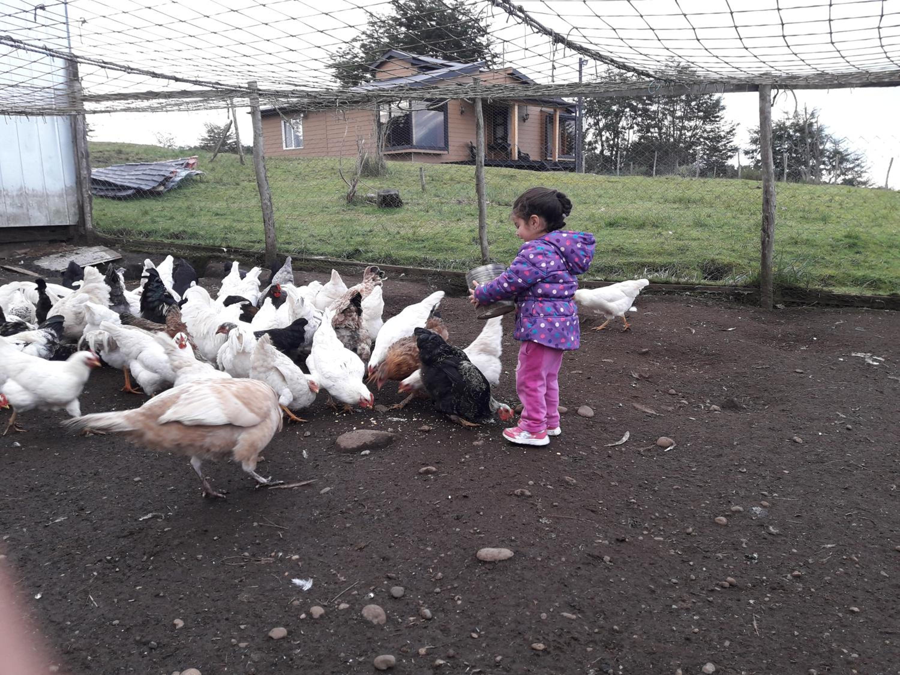 Agroturismo los Colihues