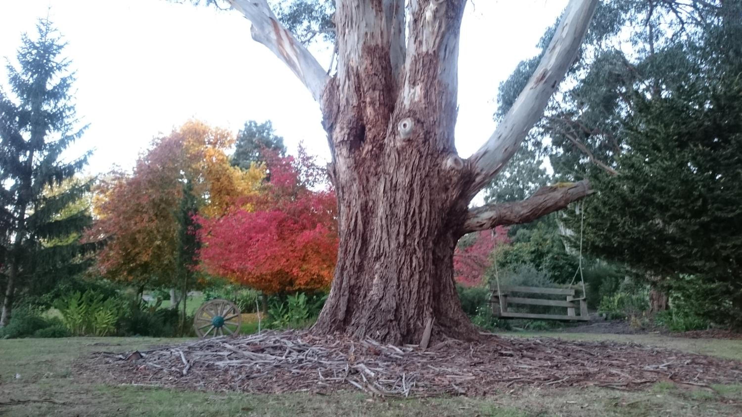 Altona Garden Retreat