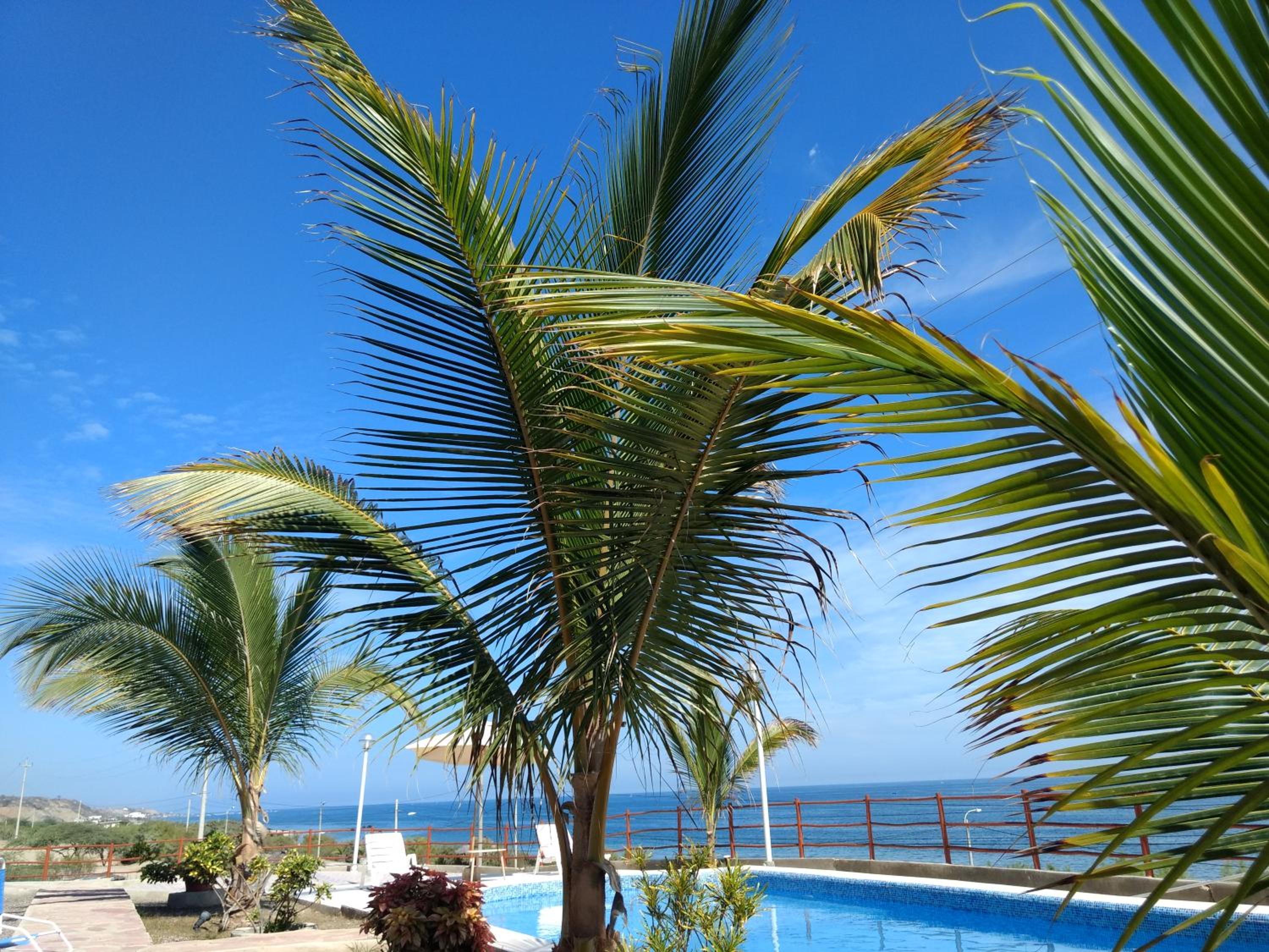 Bella Vista condominio view 5