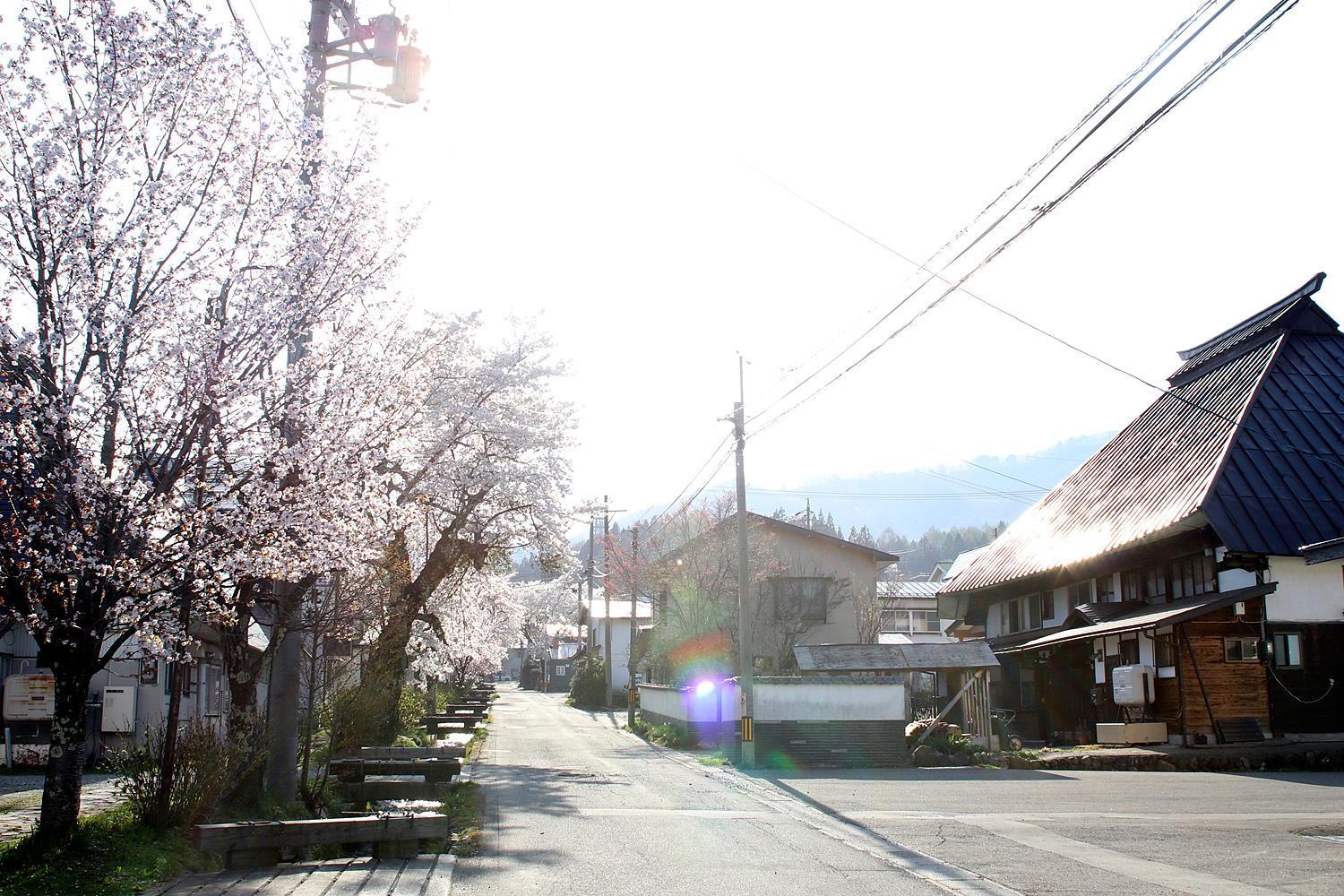 Photo 30