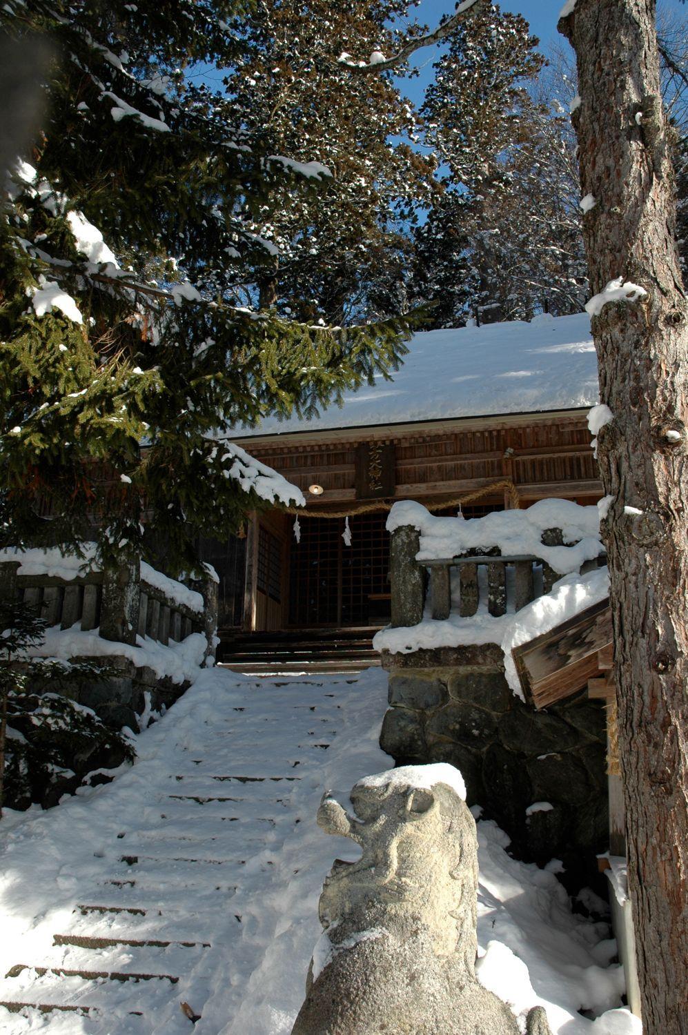 Photo 22