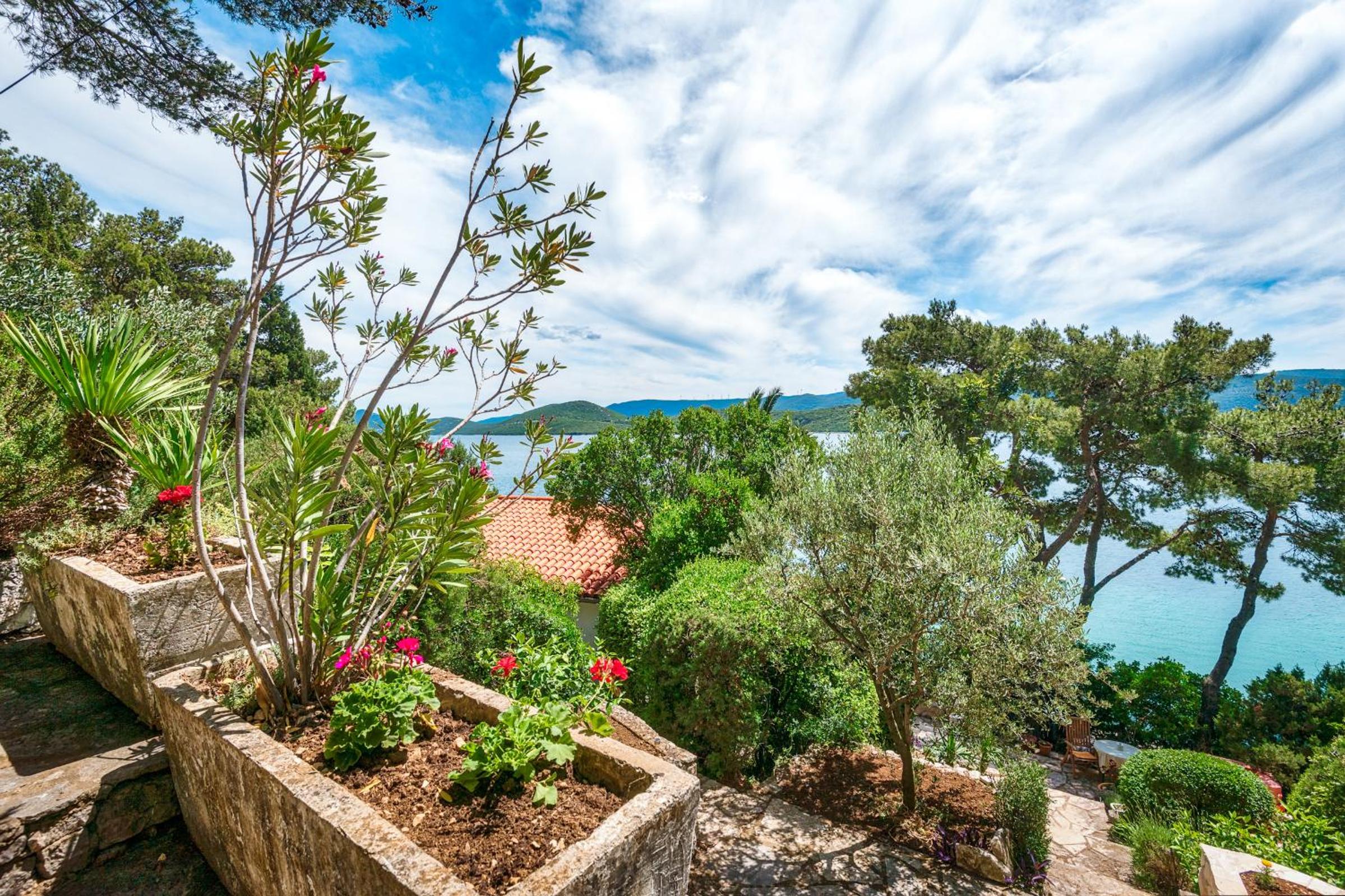 Holiday Home Gluscevic photo 4