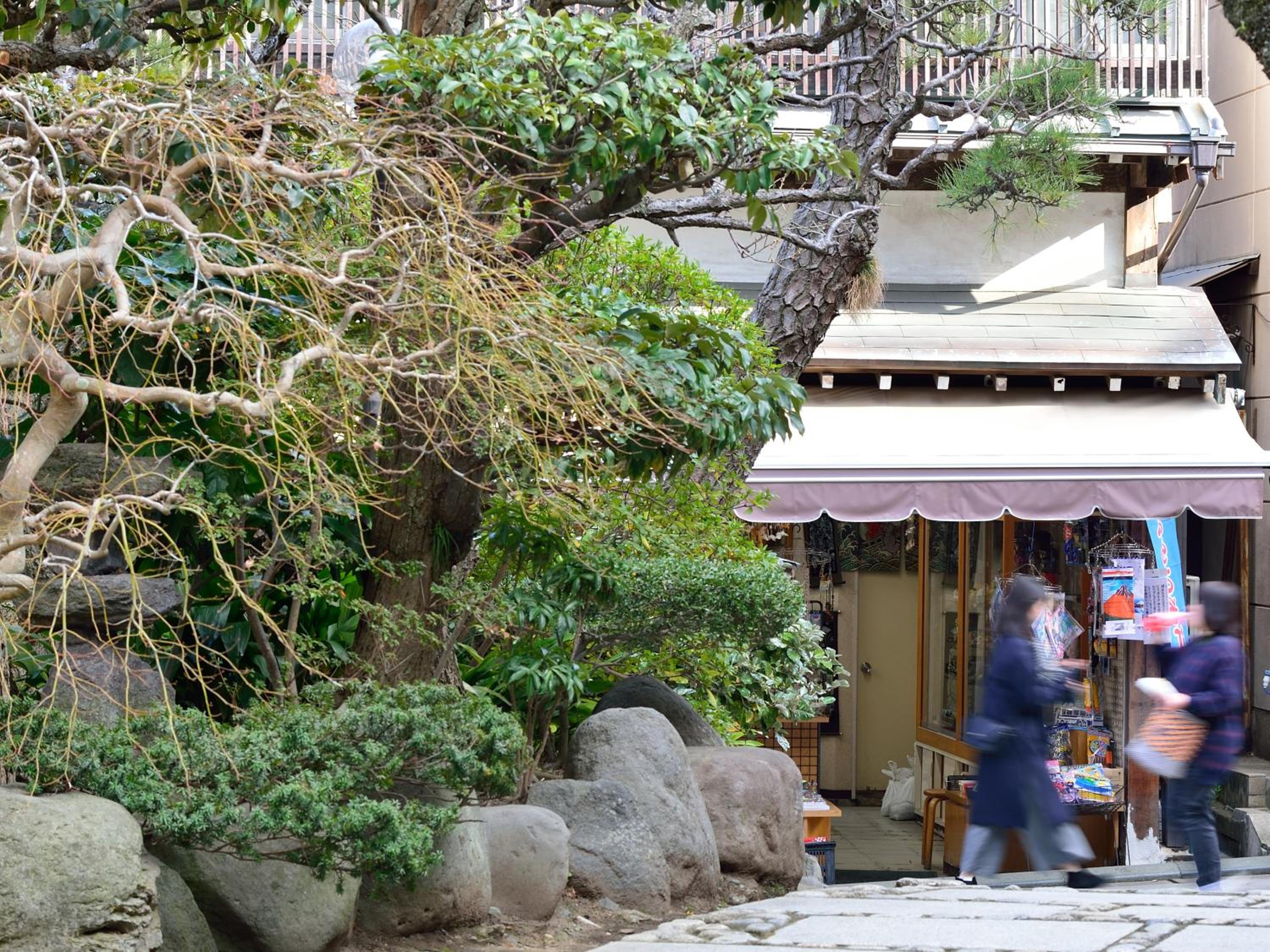 Iwamotoro