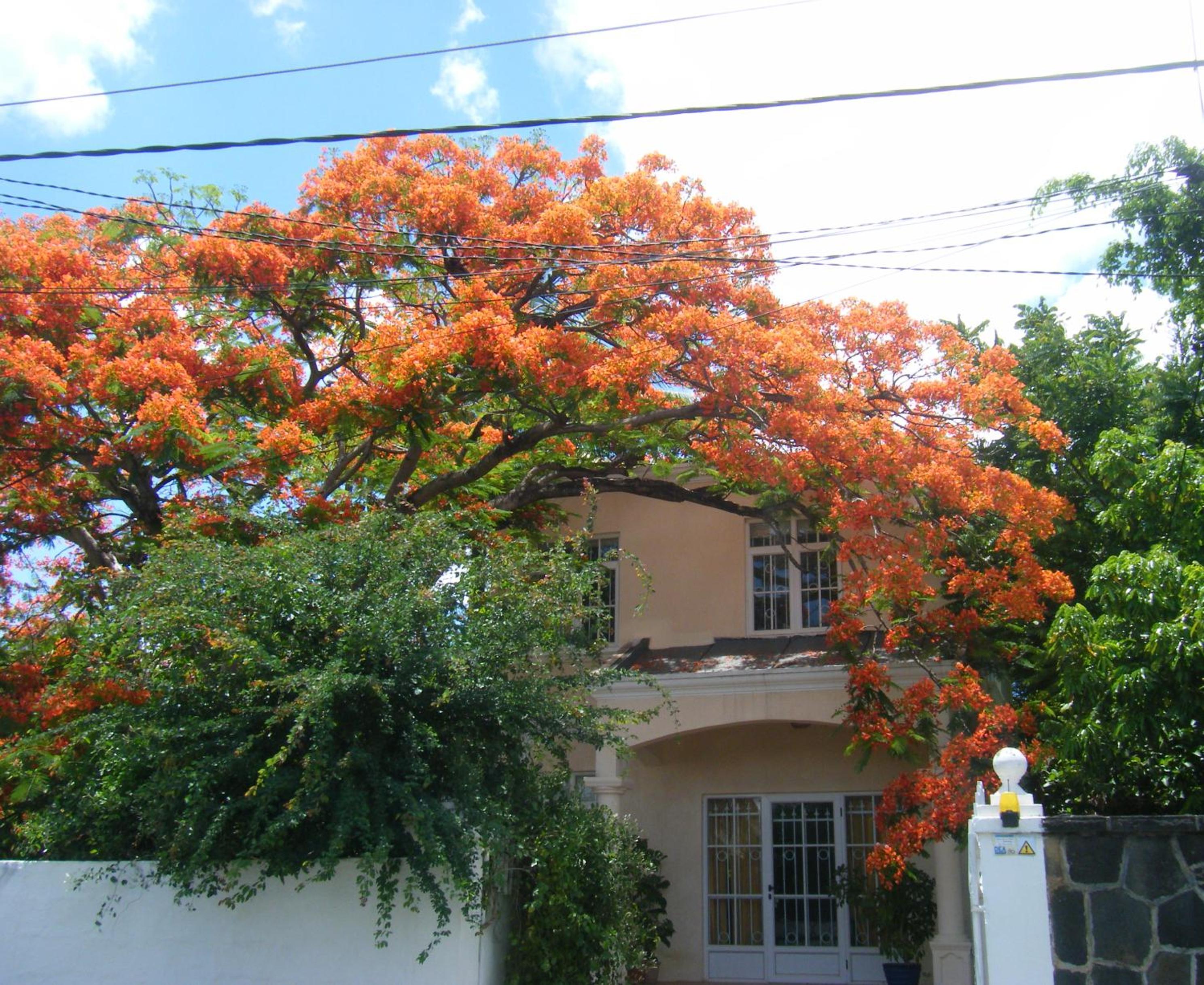 Villa Sirandane