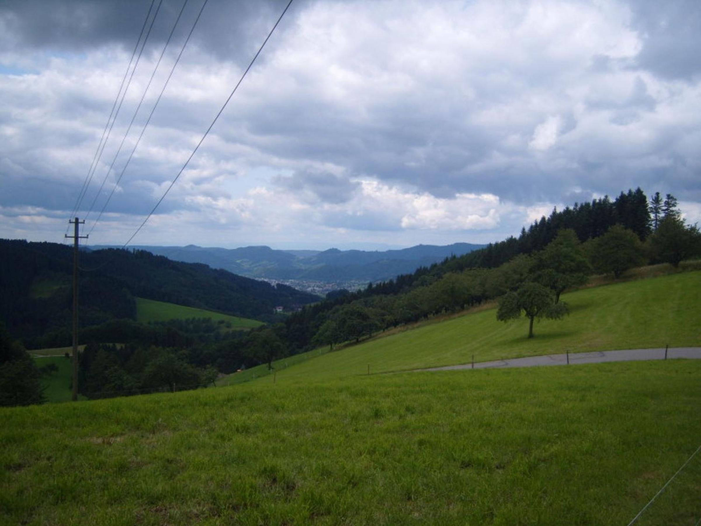 Photo 7