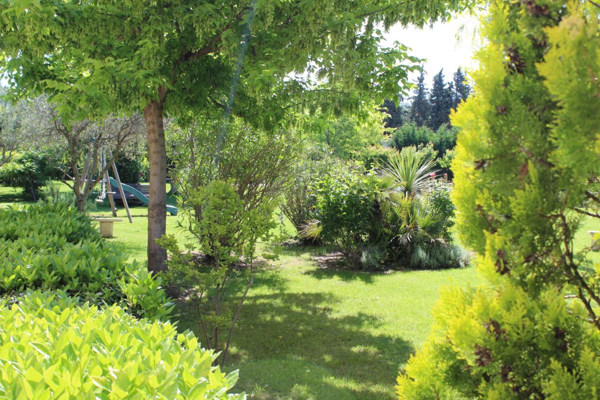 Photo 46
