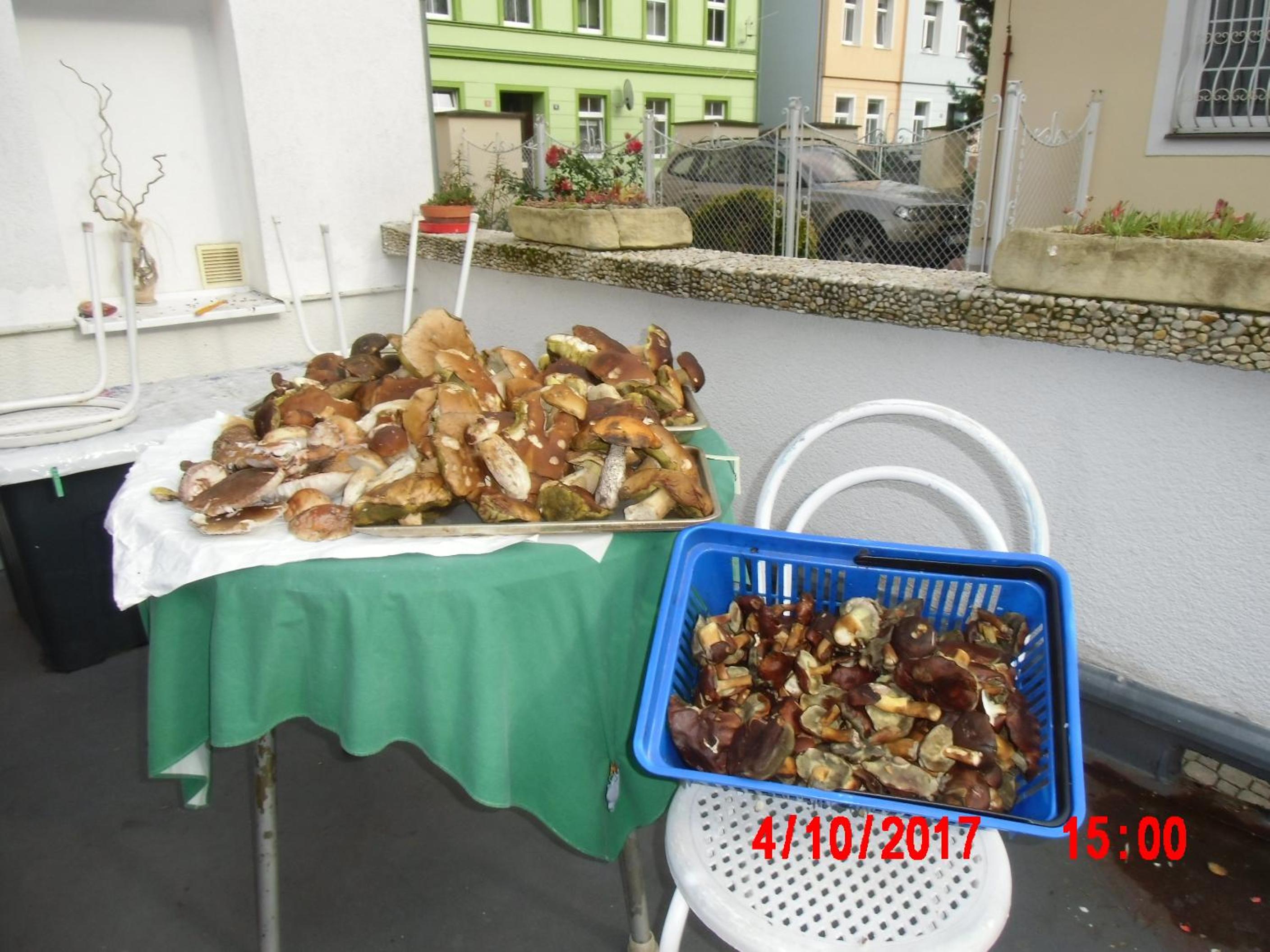 Pension U Kaktusu