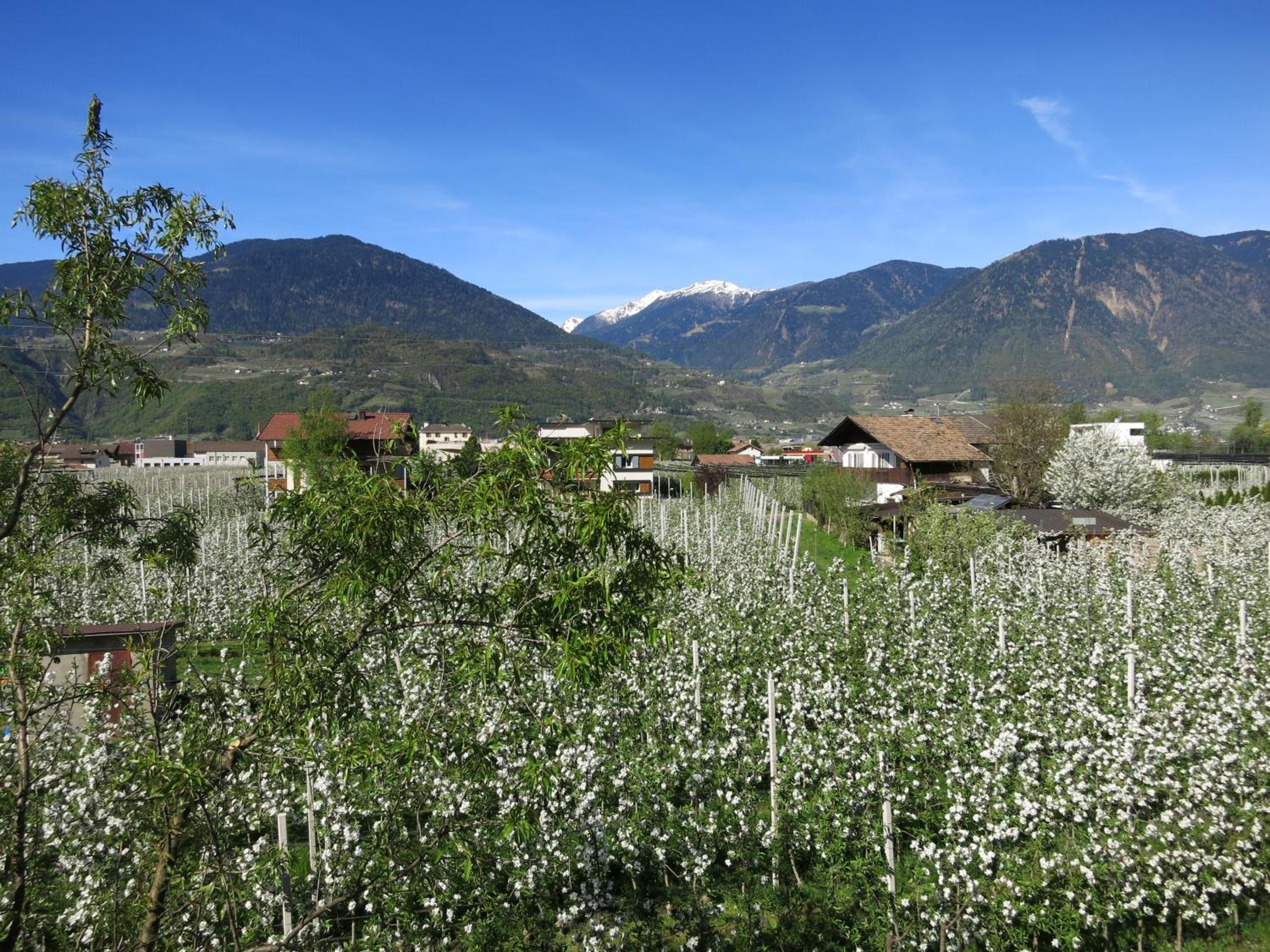 Photo 31
