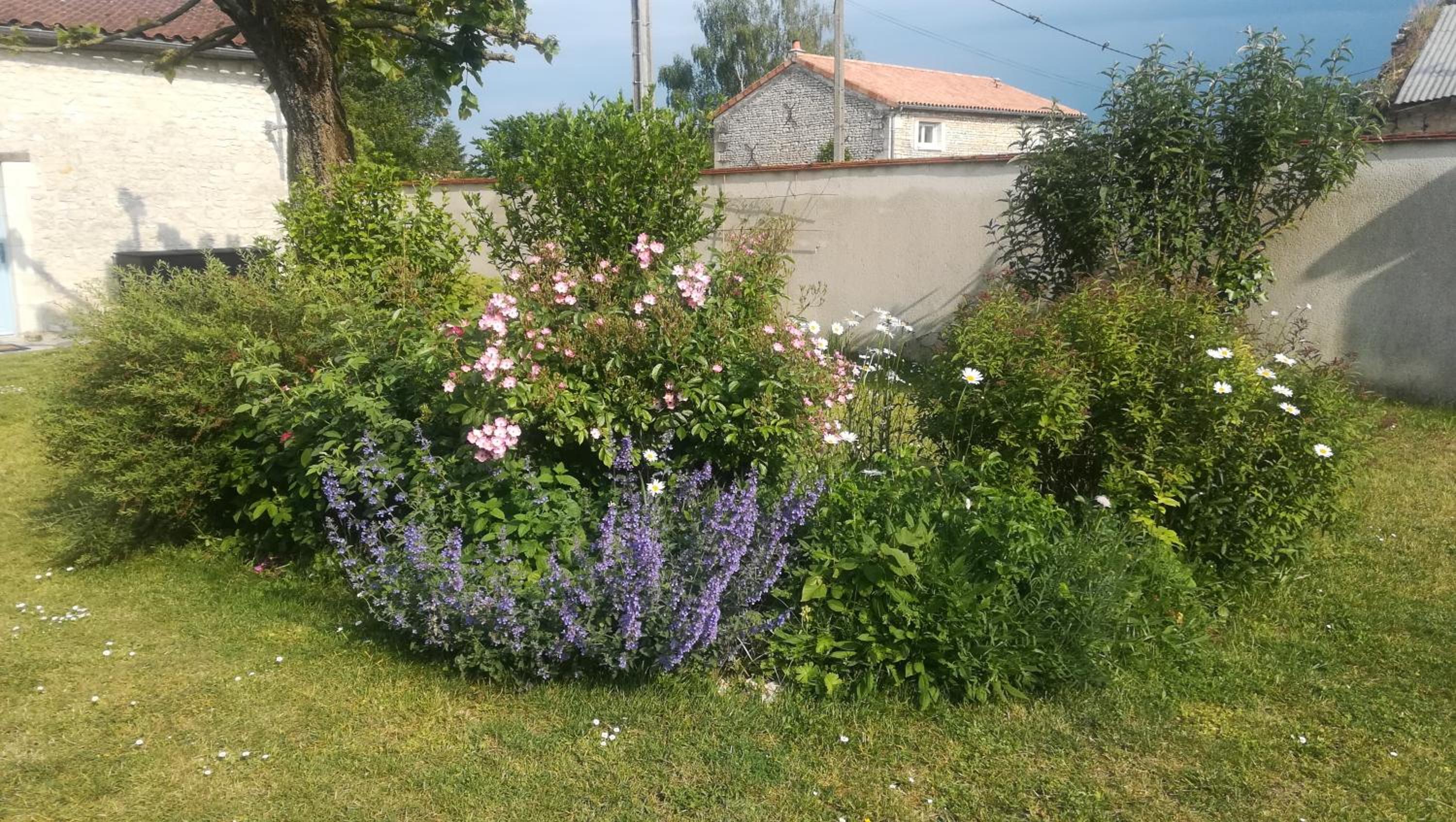 Photo 19