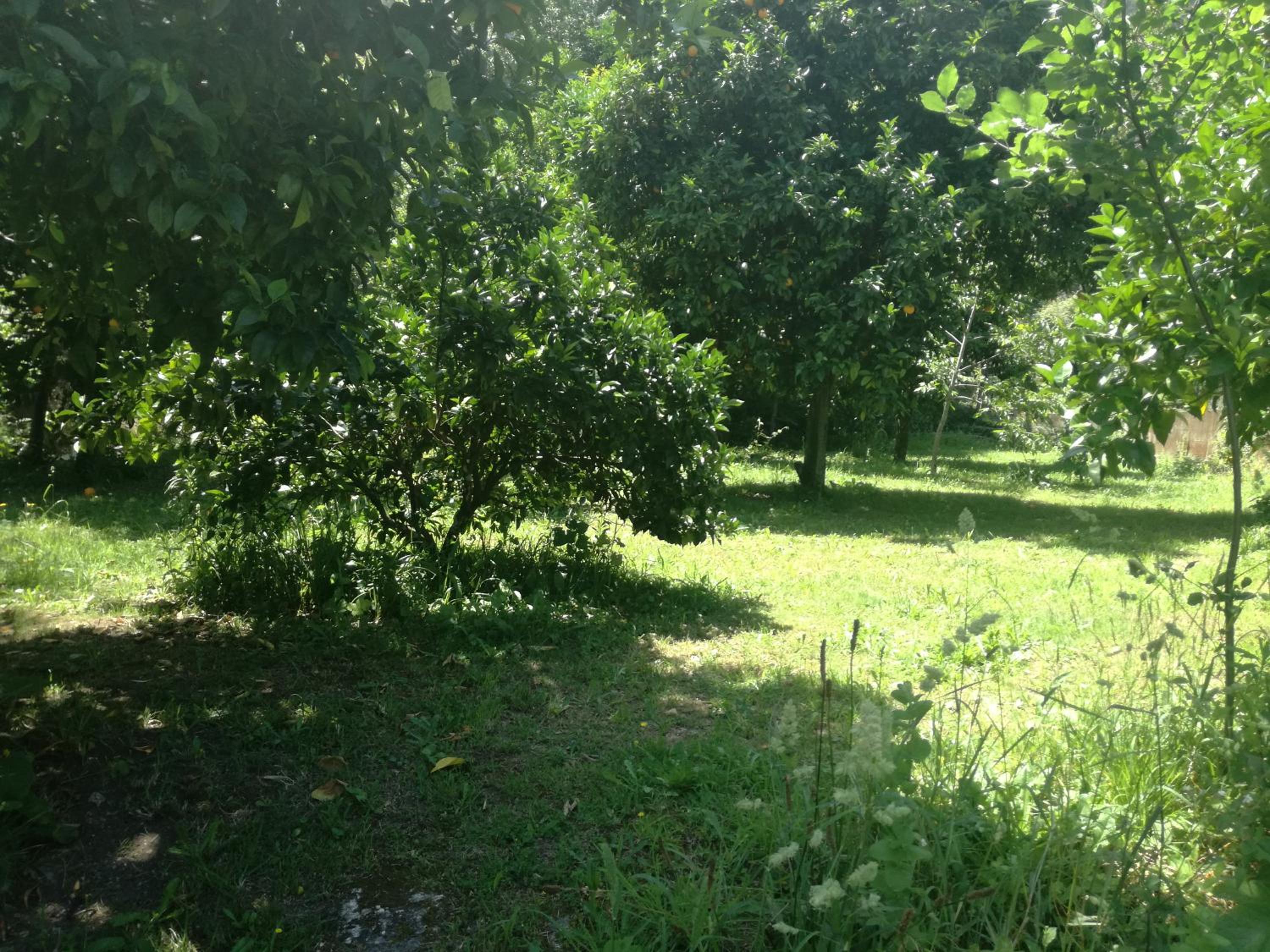 Photo 48