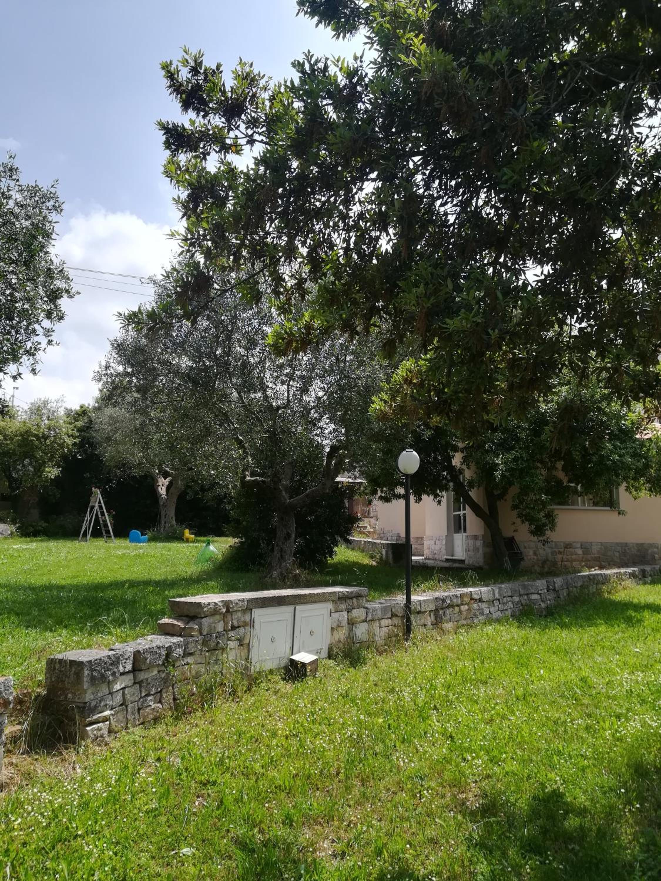 Photo 34