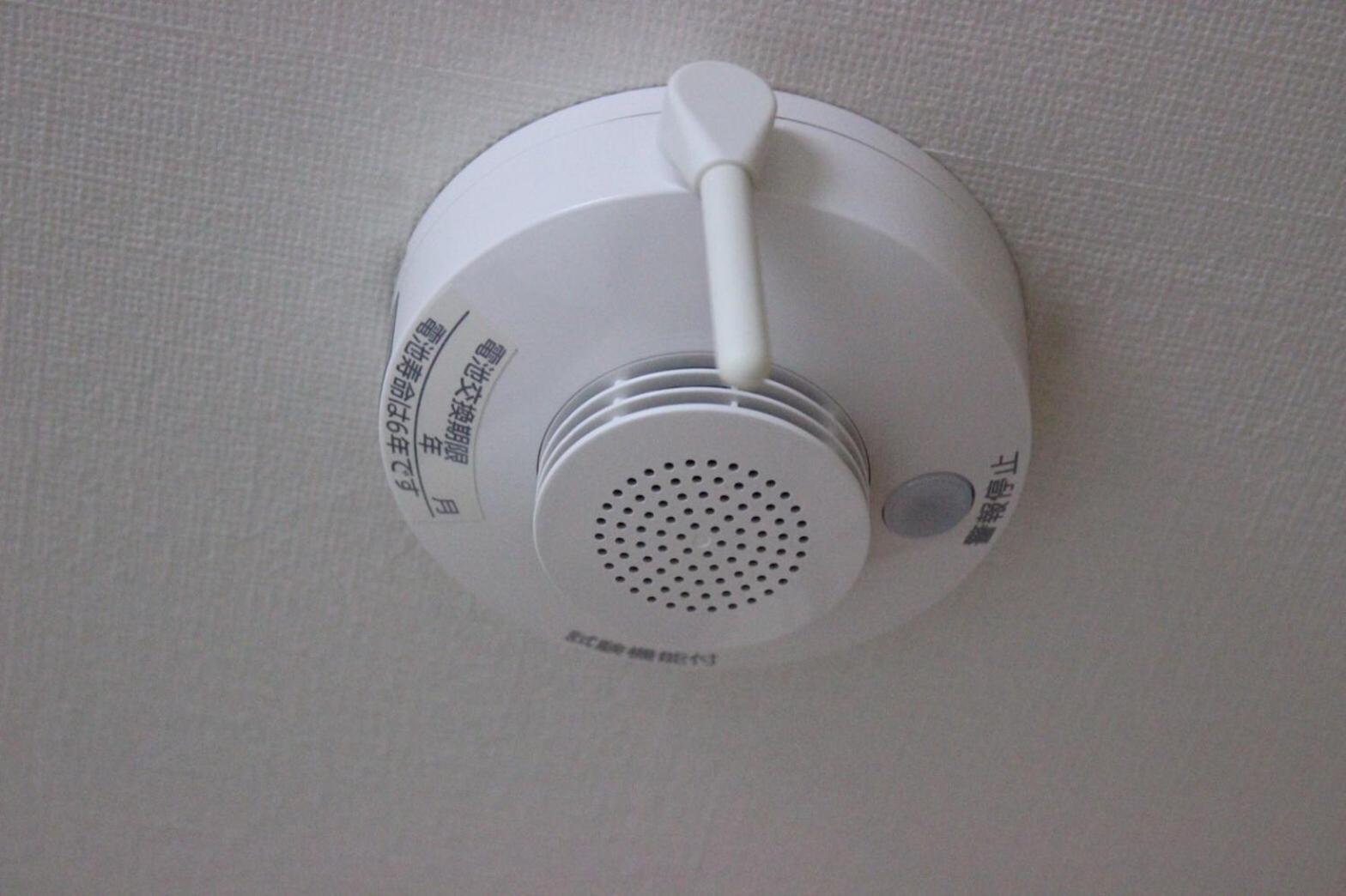 Photo 41