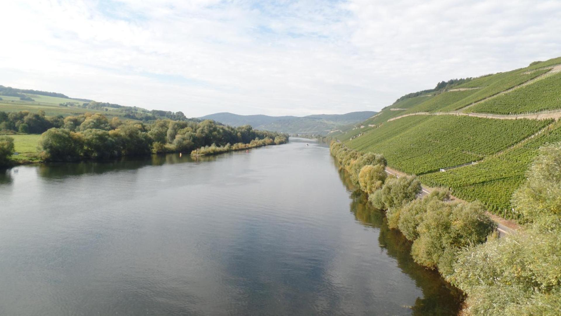 Pension Auf der Olk mit Röpertsmühle