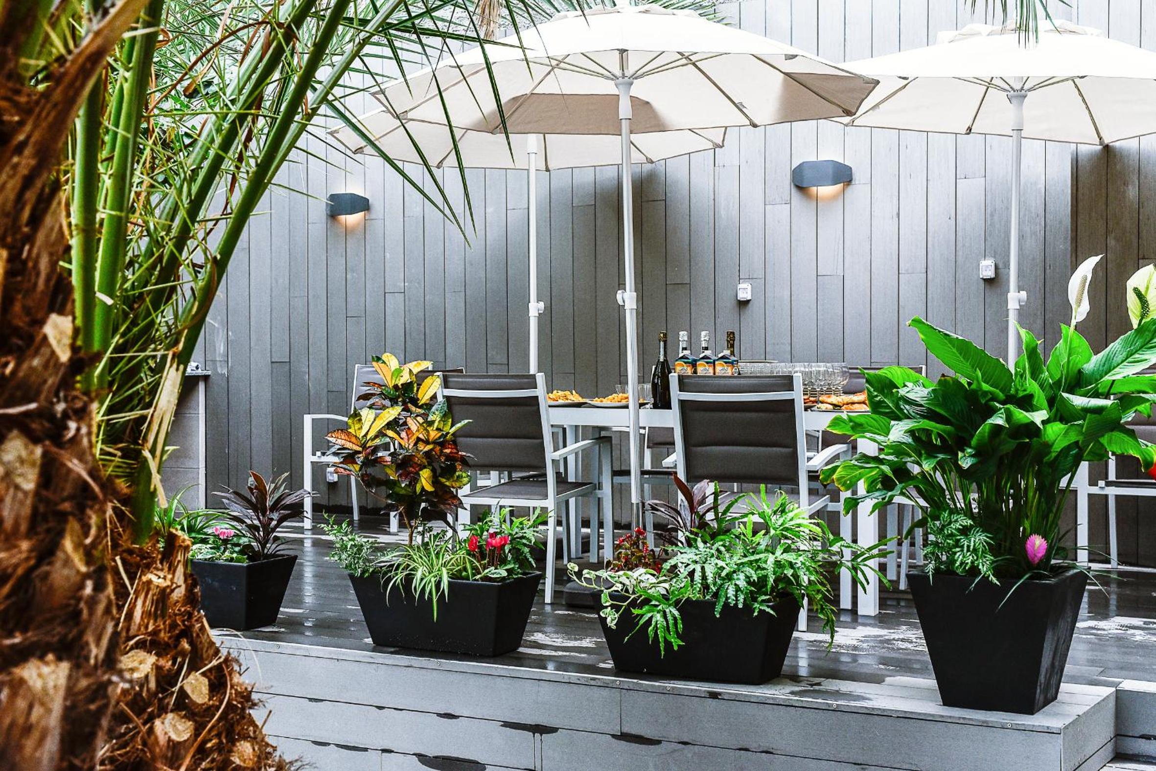Calypso Boutique Apartments