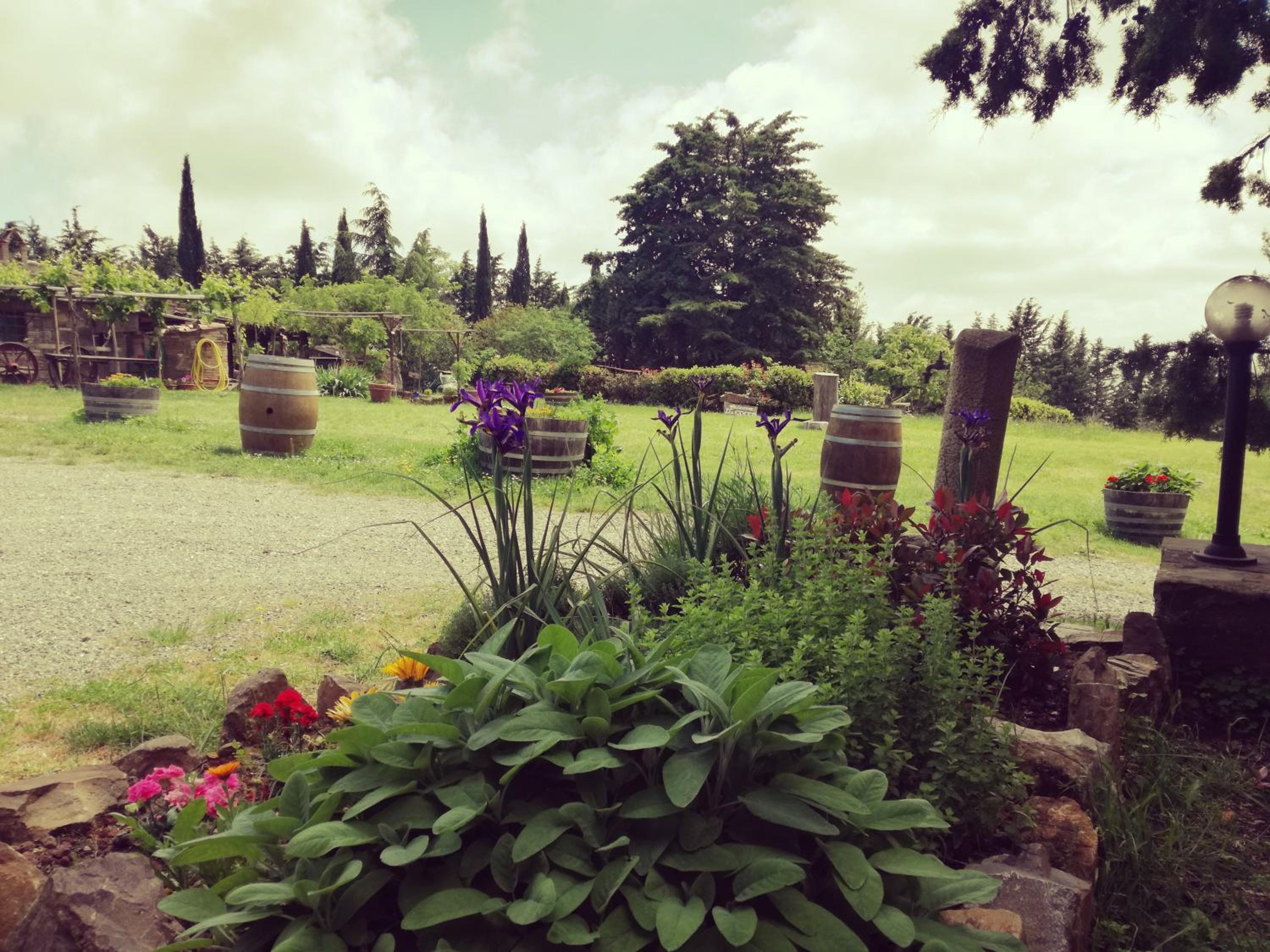 Agriturismo Il Cocco