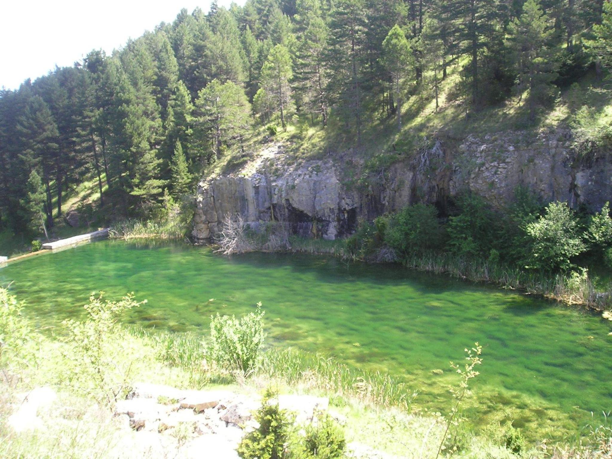 Photo 24