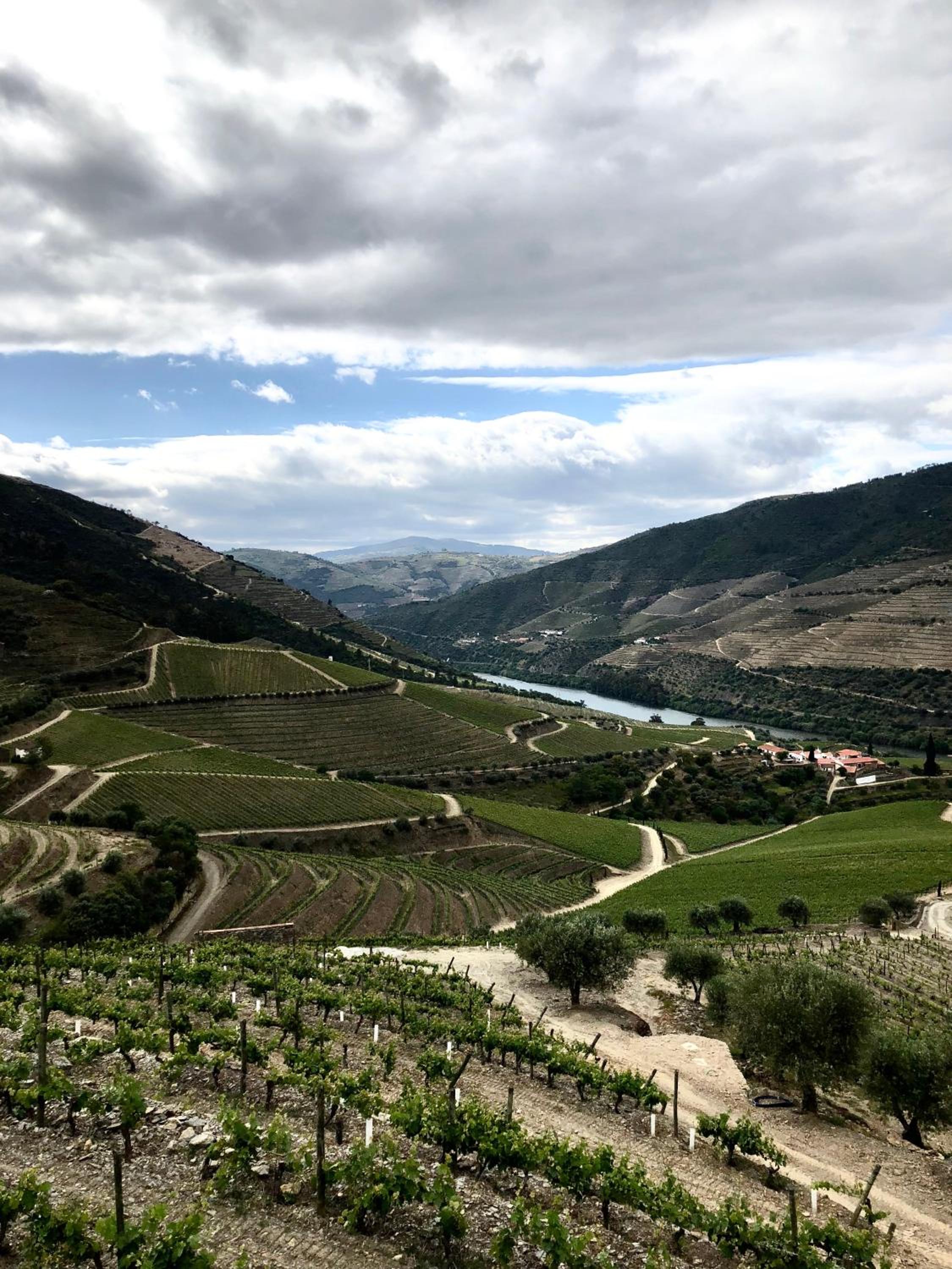 Quinta da Gricha