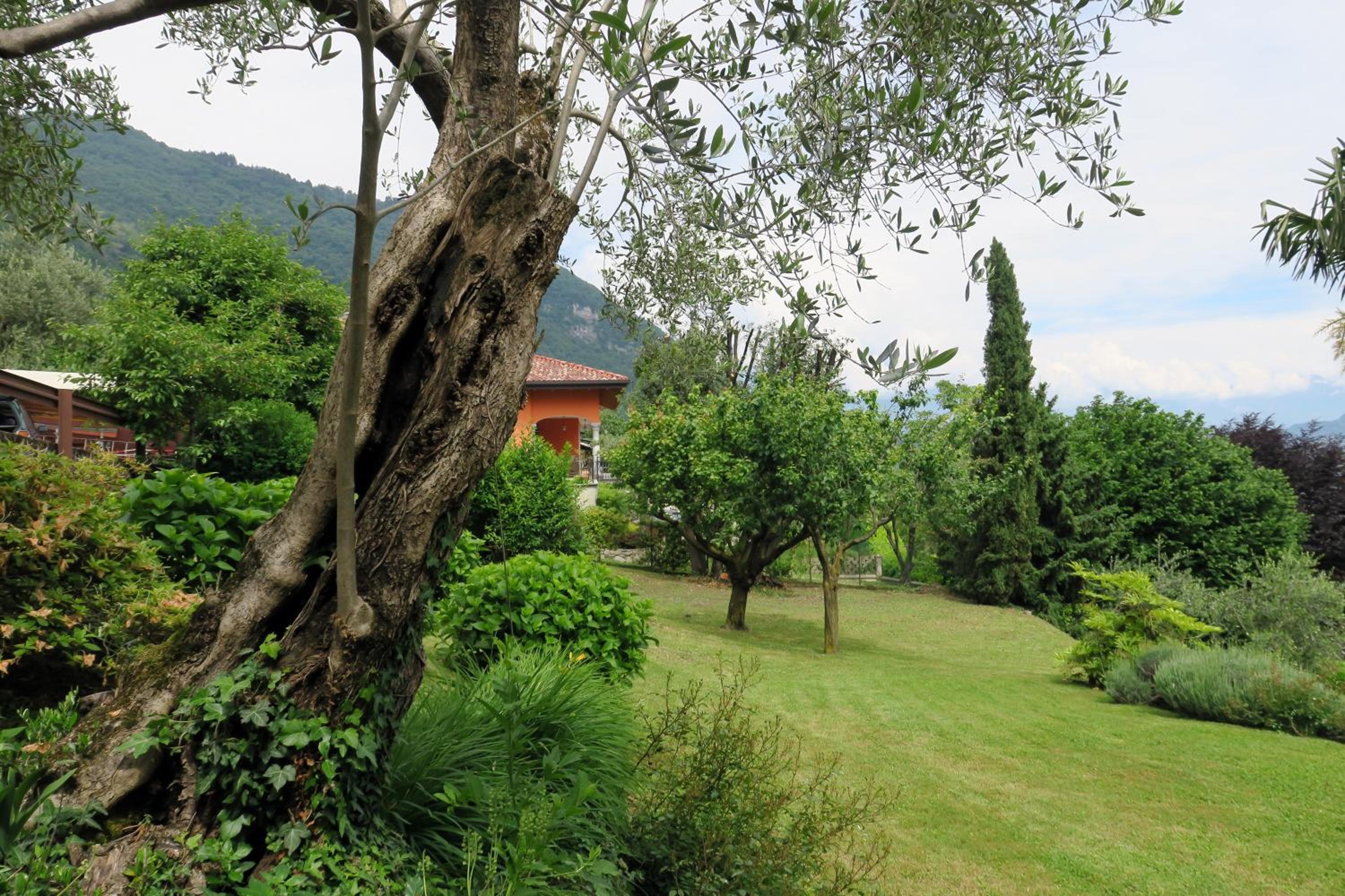 Photo 28