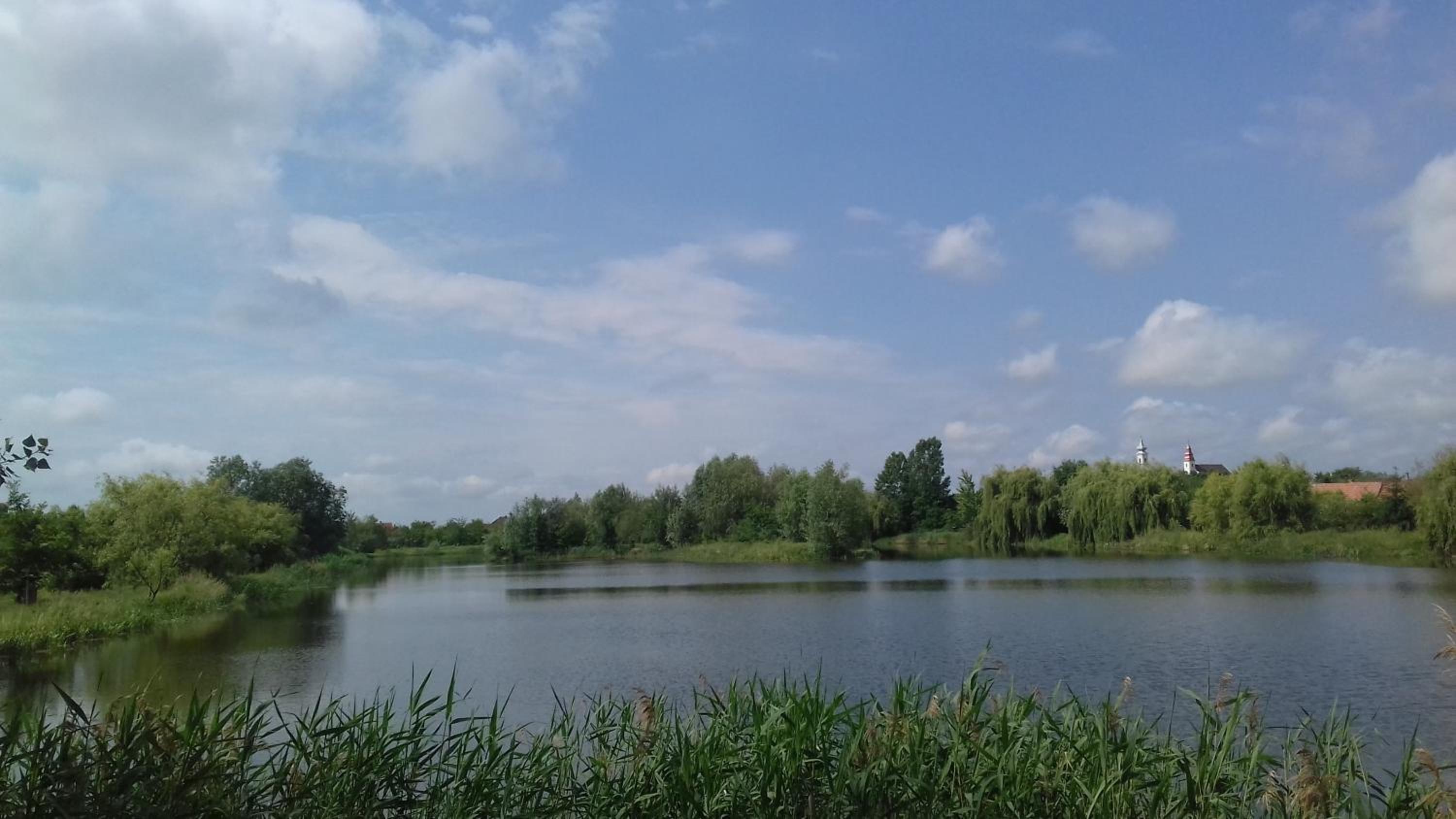 Photo 42