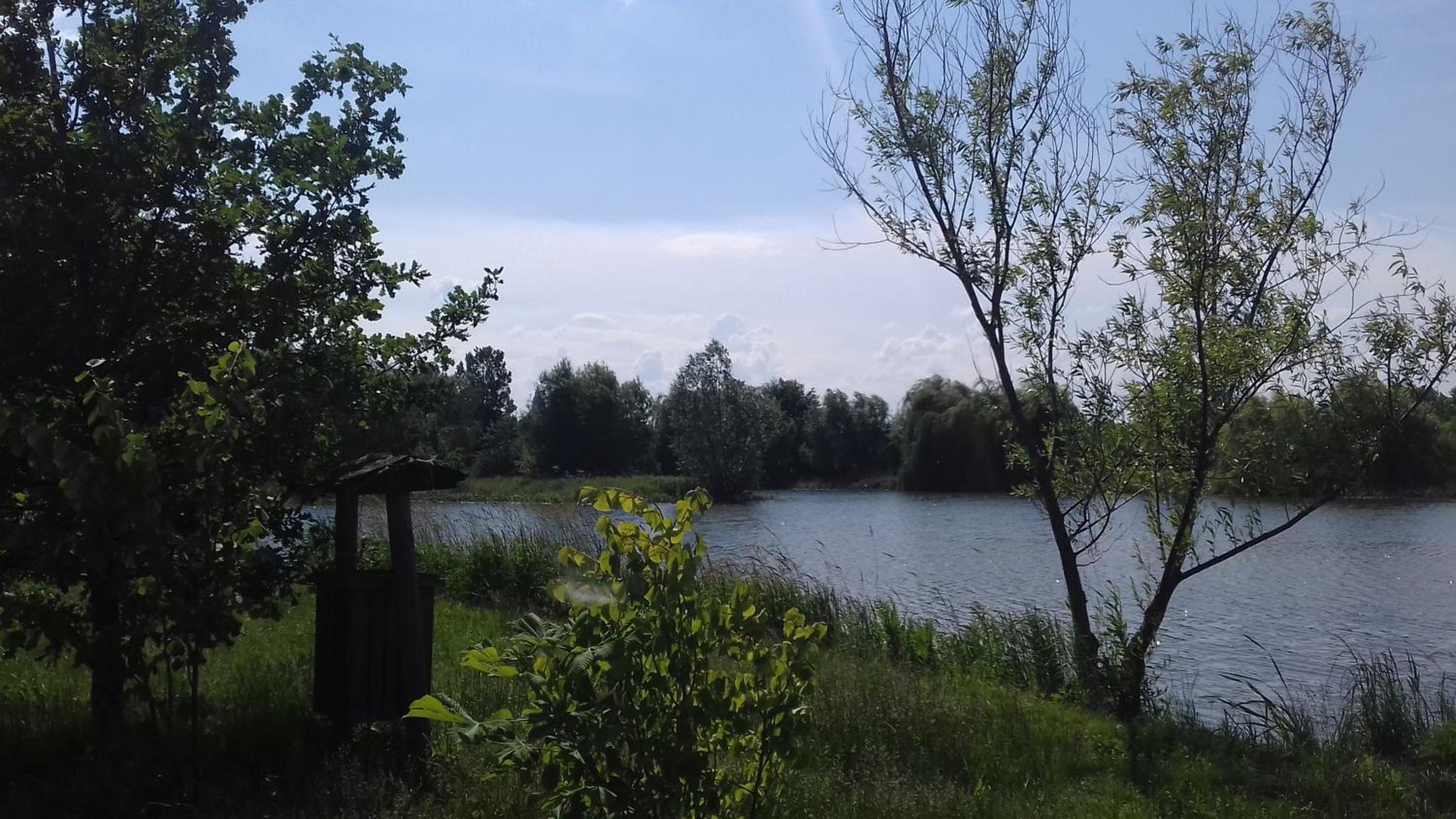 Photo 41
