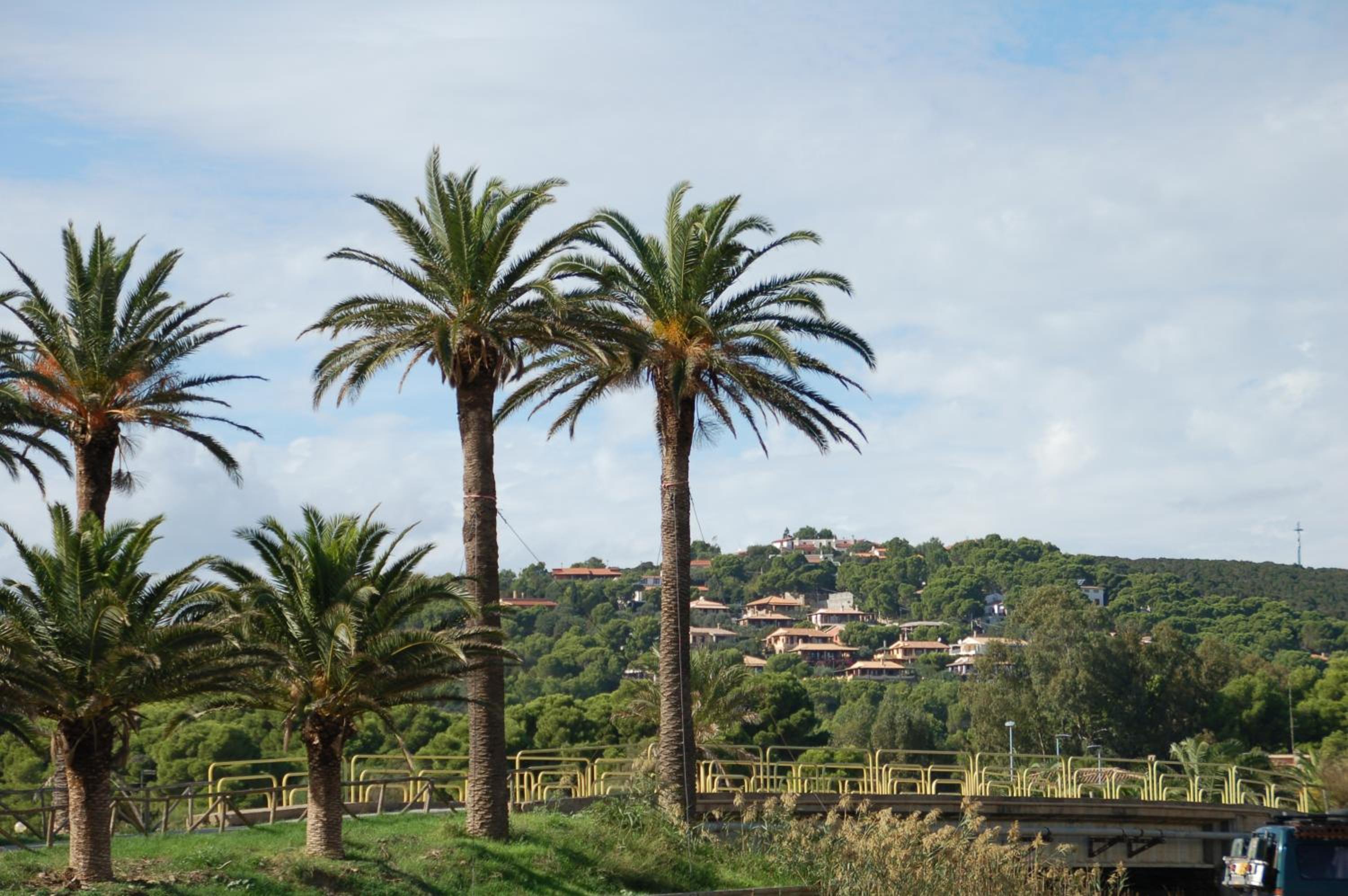 Margherita Holiday House view 5