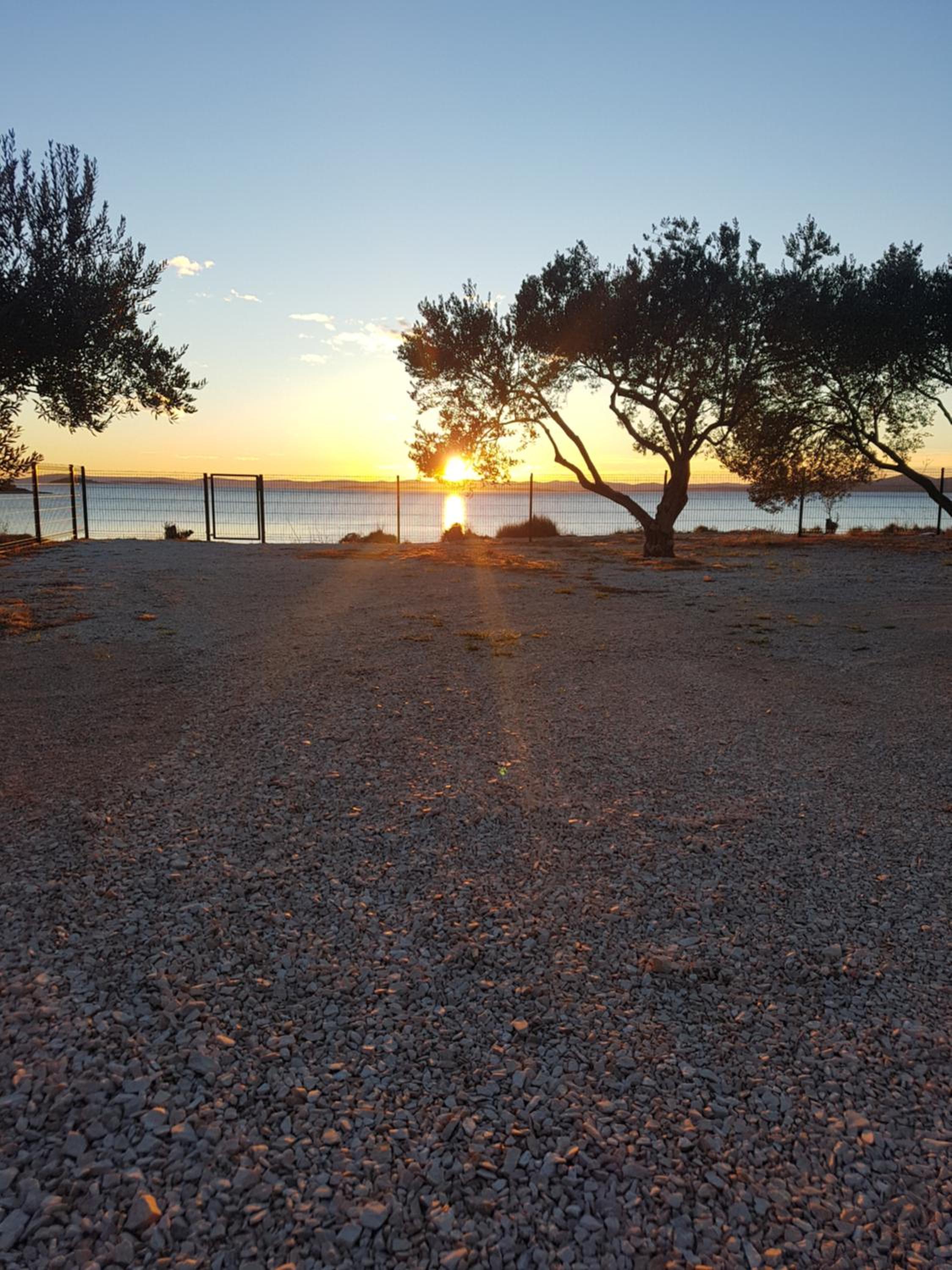 Toni view 2