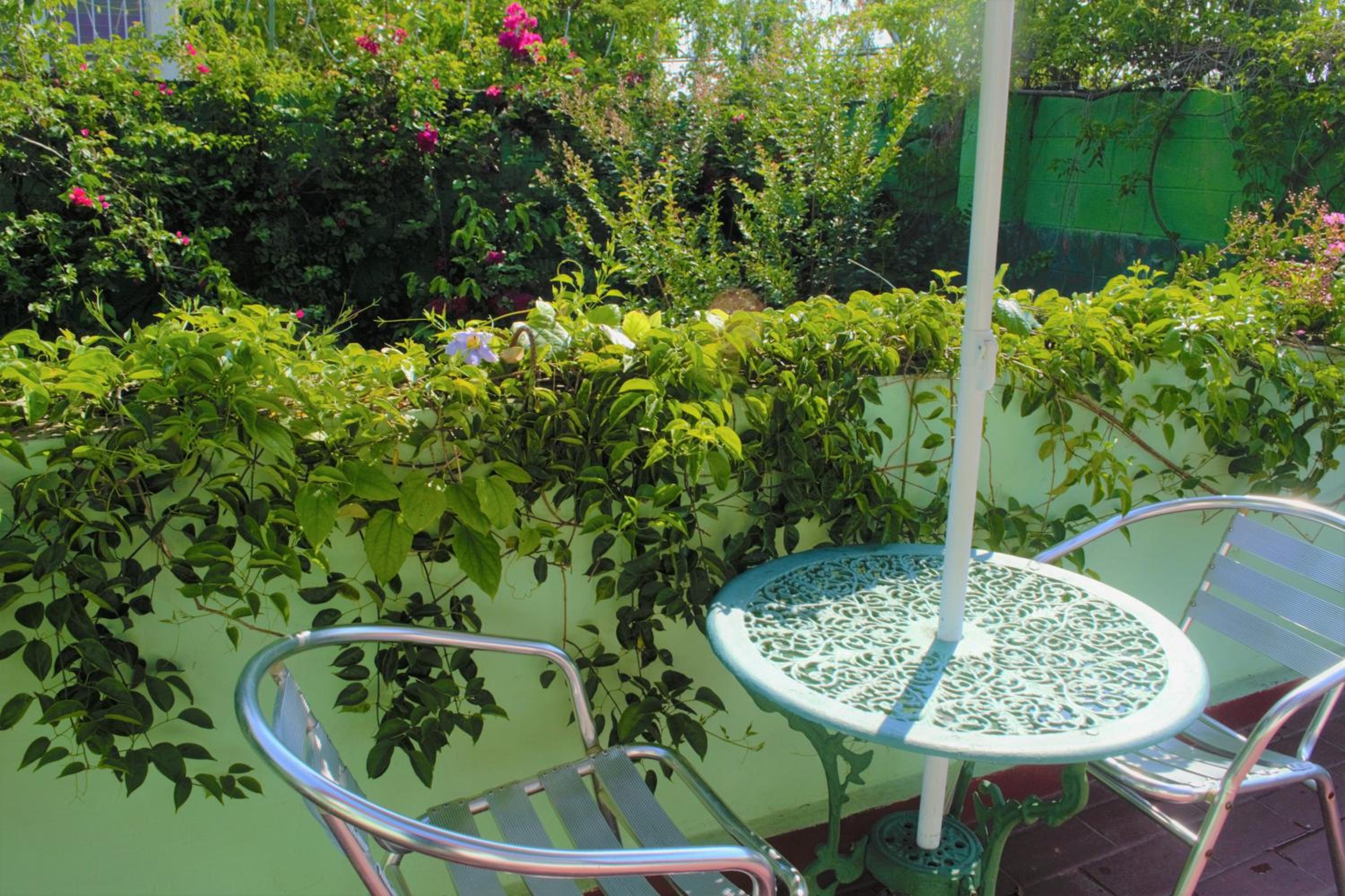 Hotel Oasis