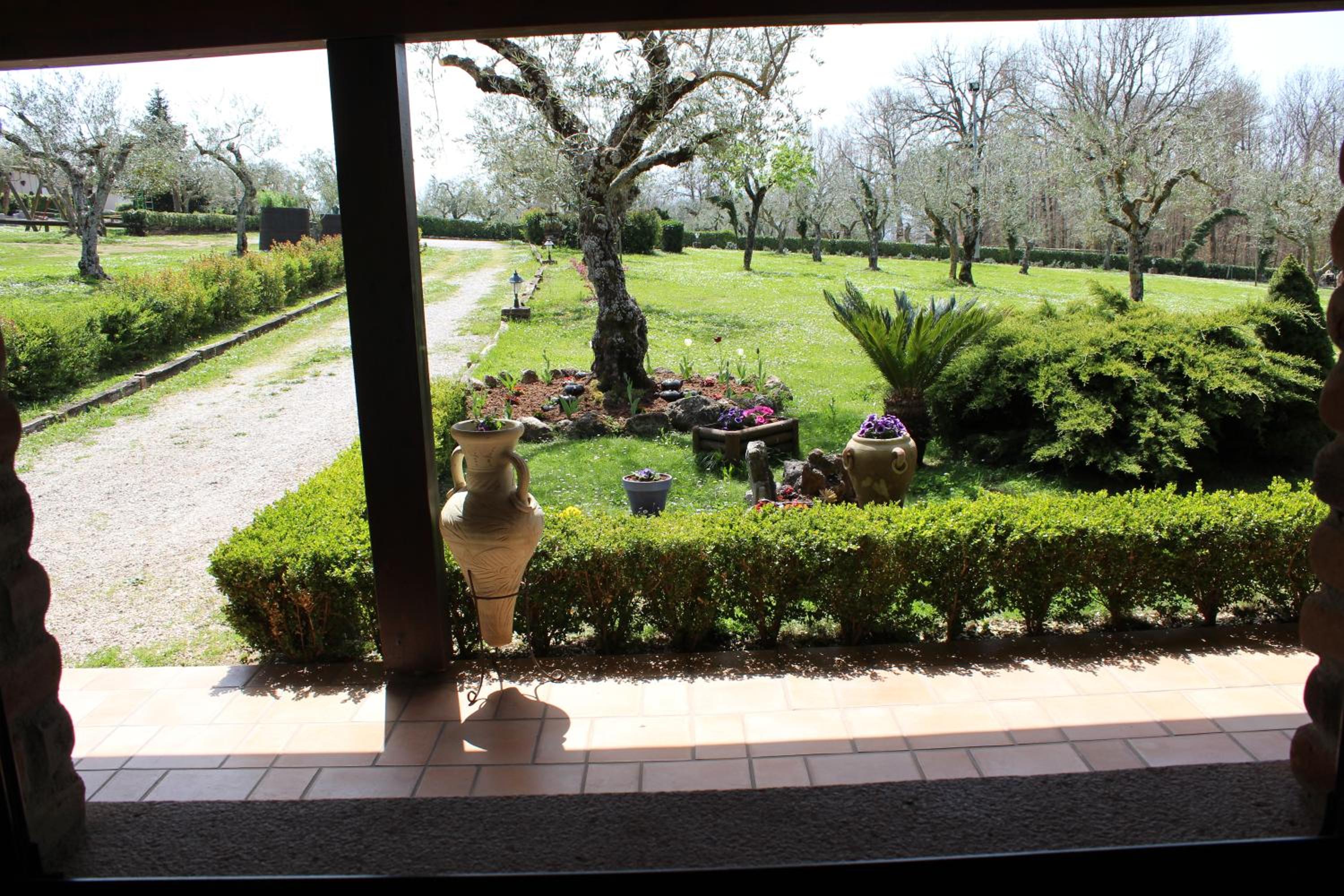 Photo 42