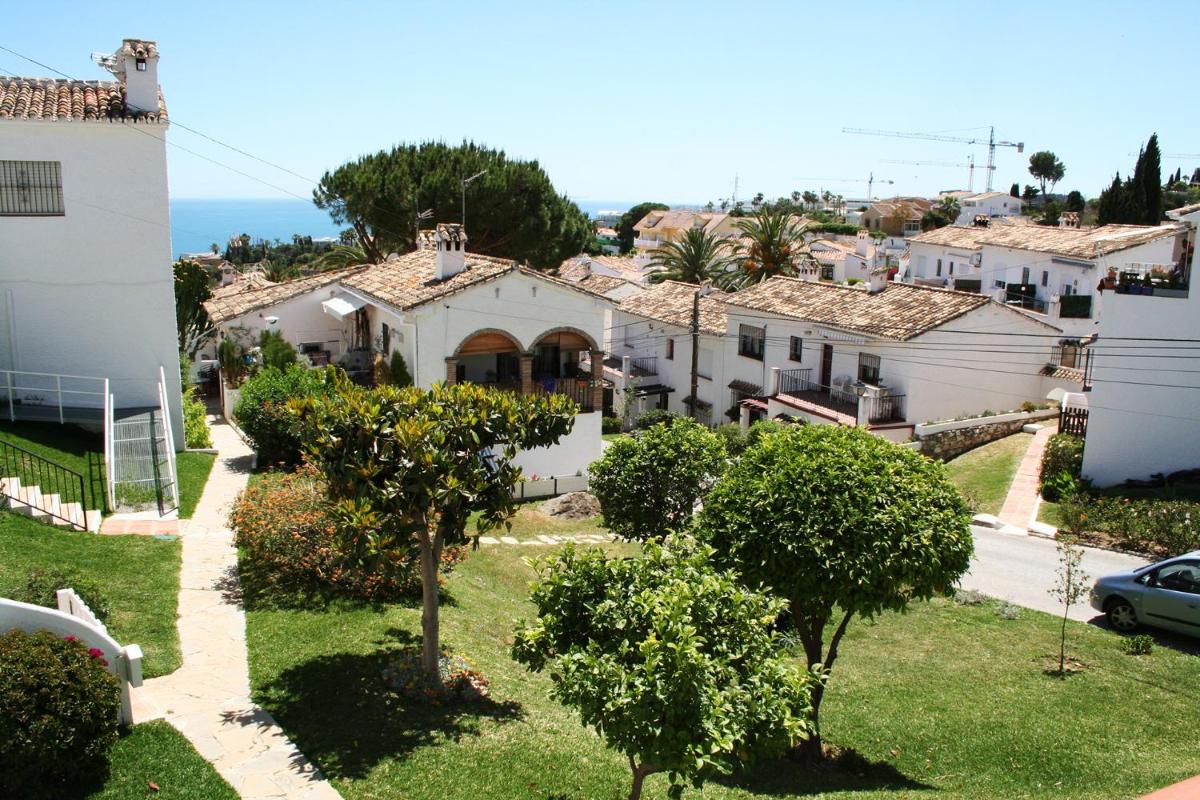 Mi Jardin photo 3