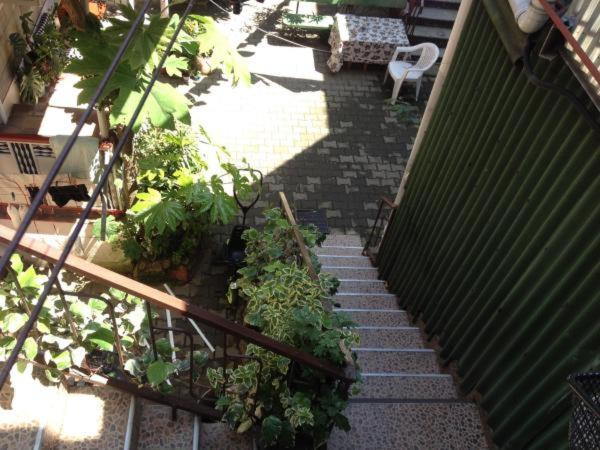 Photo 33