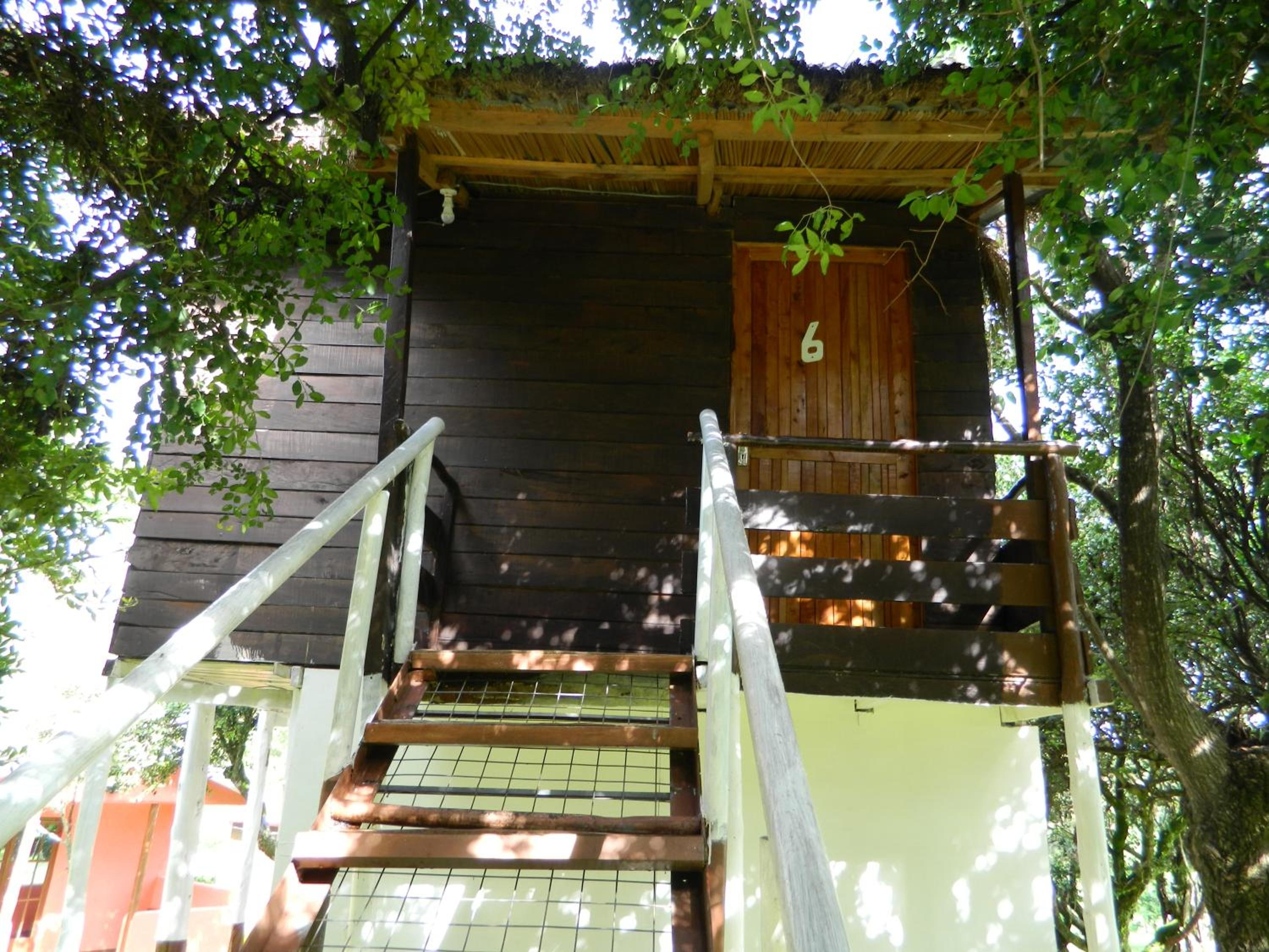 Photo 52