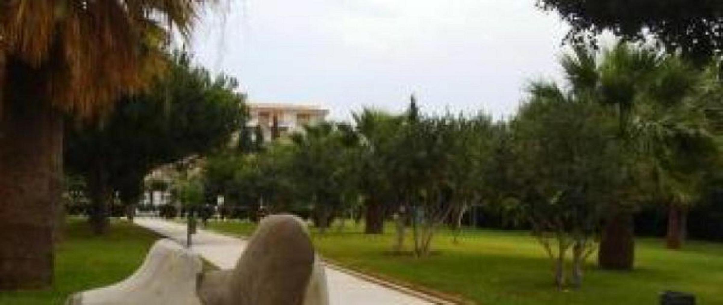 Photo 40