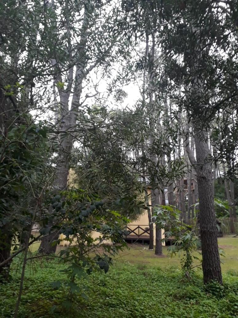 Cabaña La Maga