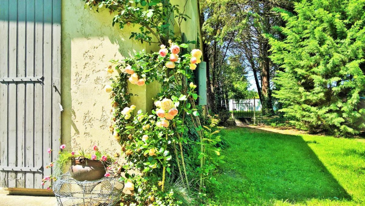 Photo 15