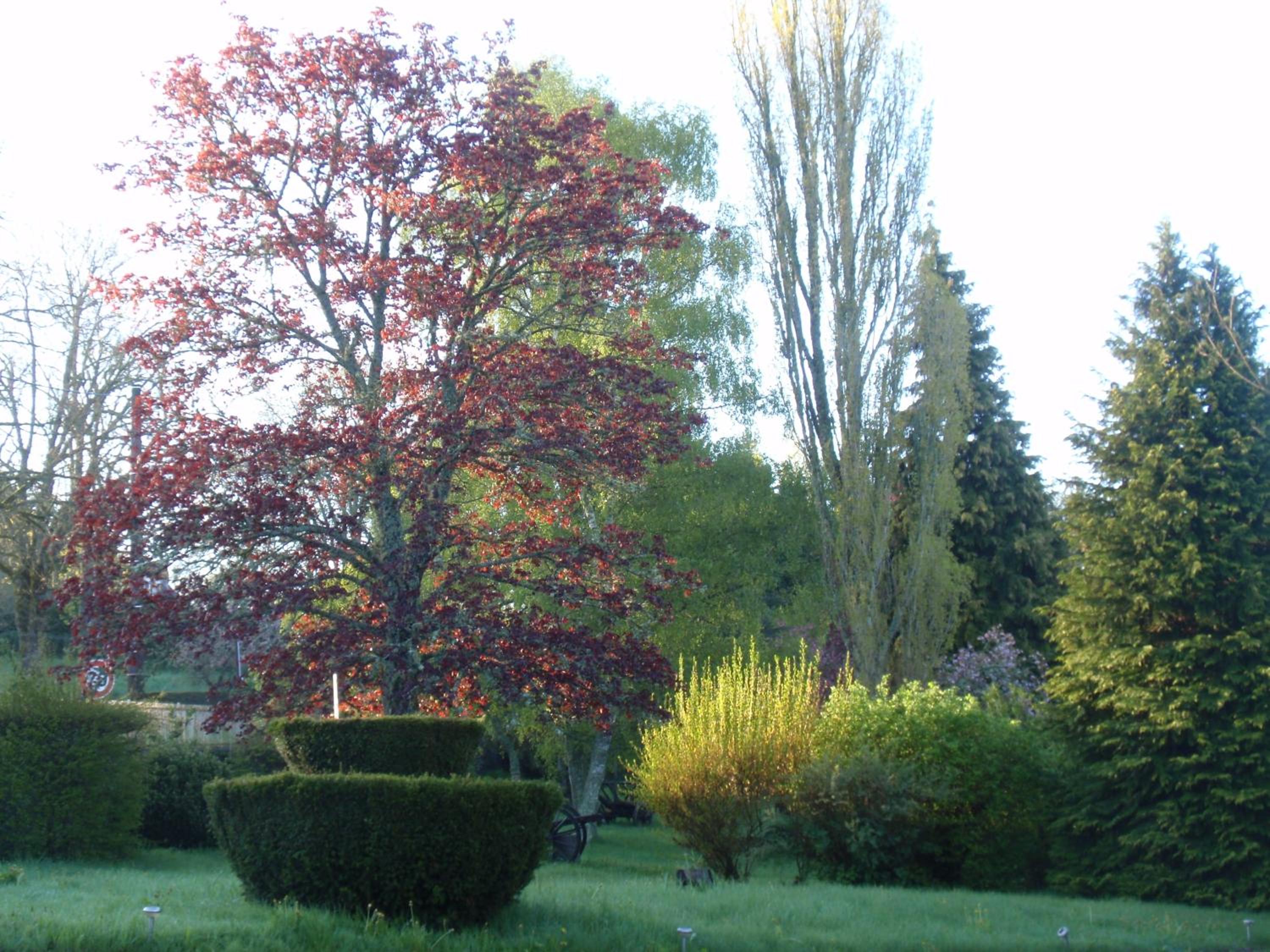 Photo 27