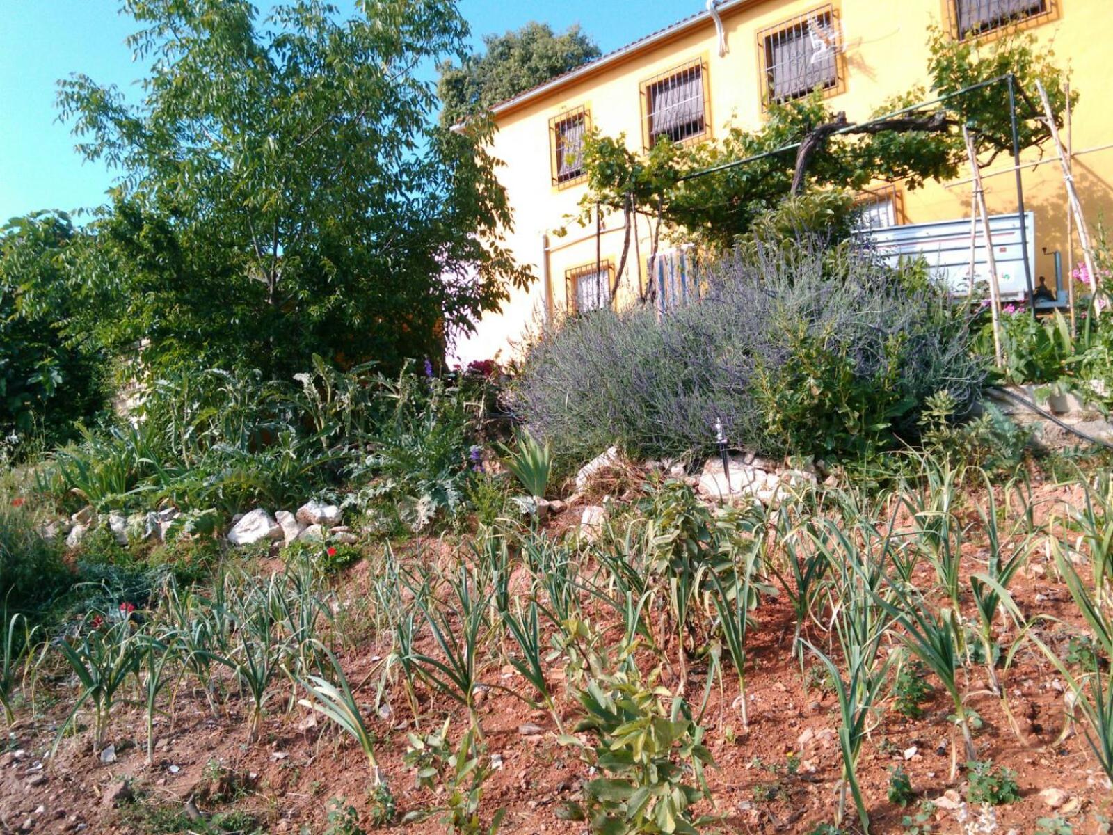 Photo 23