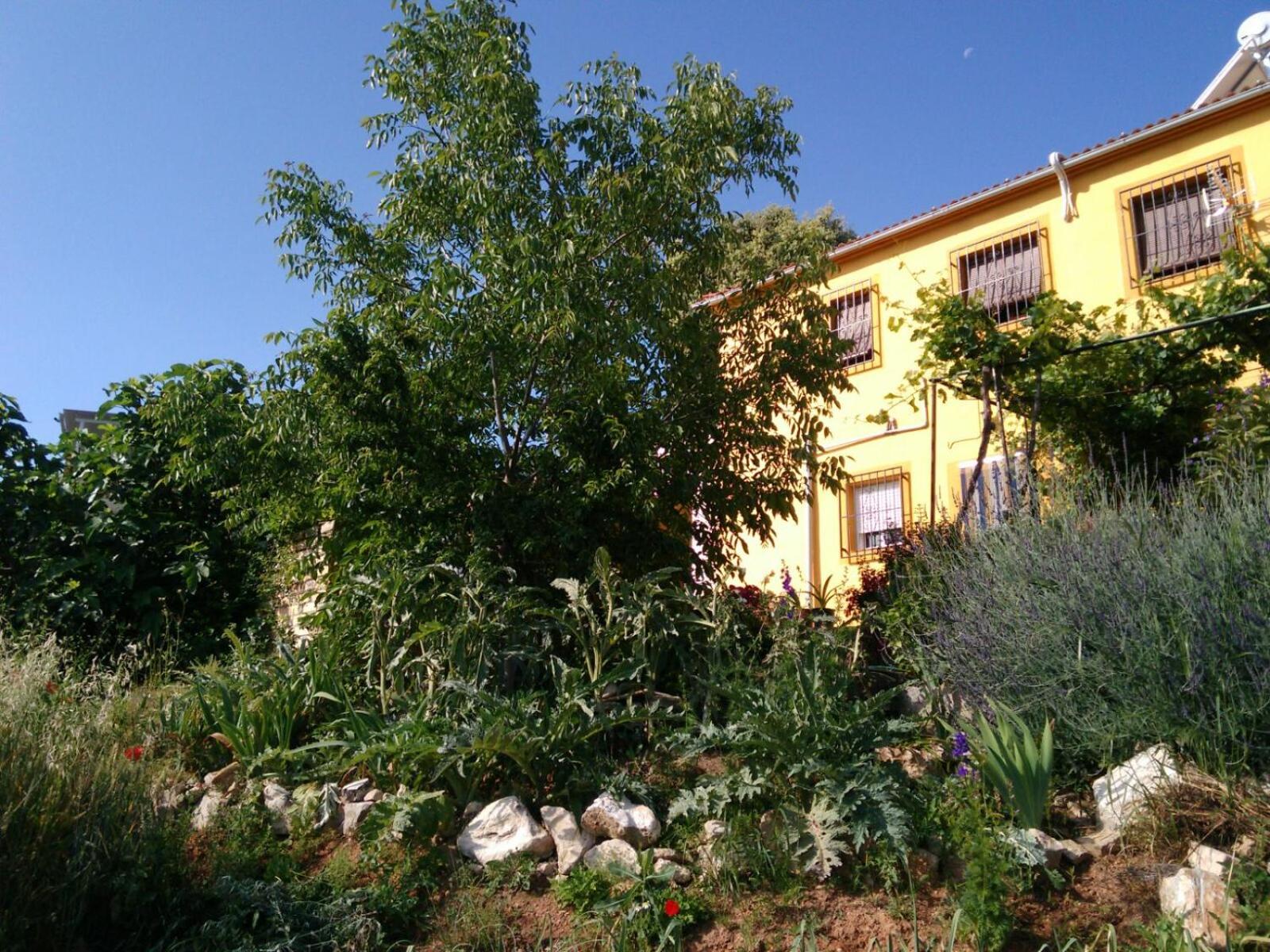 Photo 20