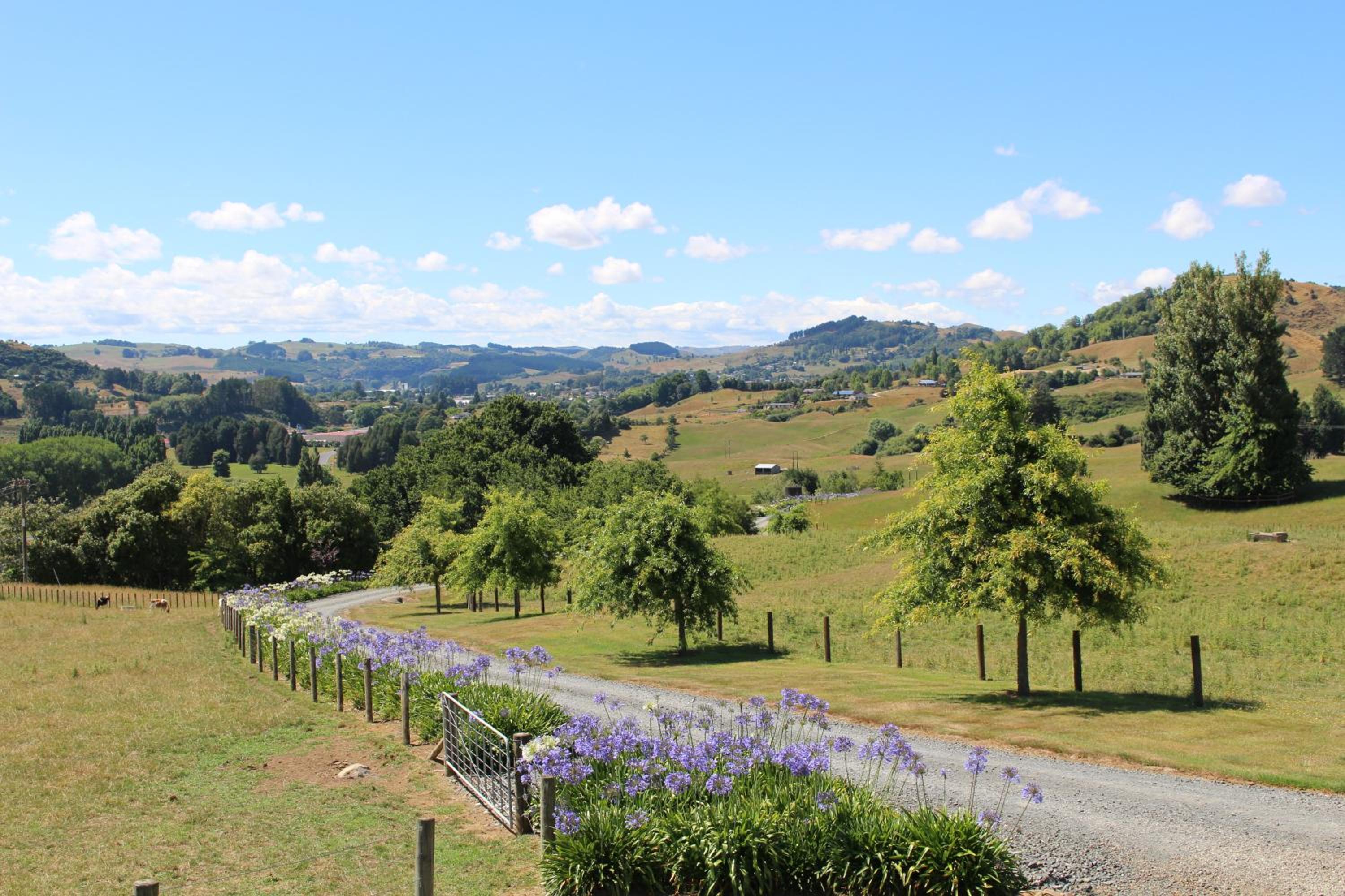 The Loft at Te Kumi Tirohanga view 5
