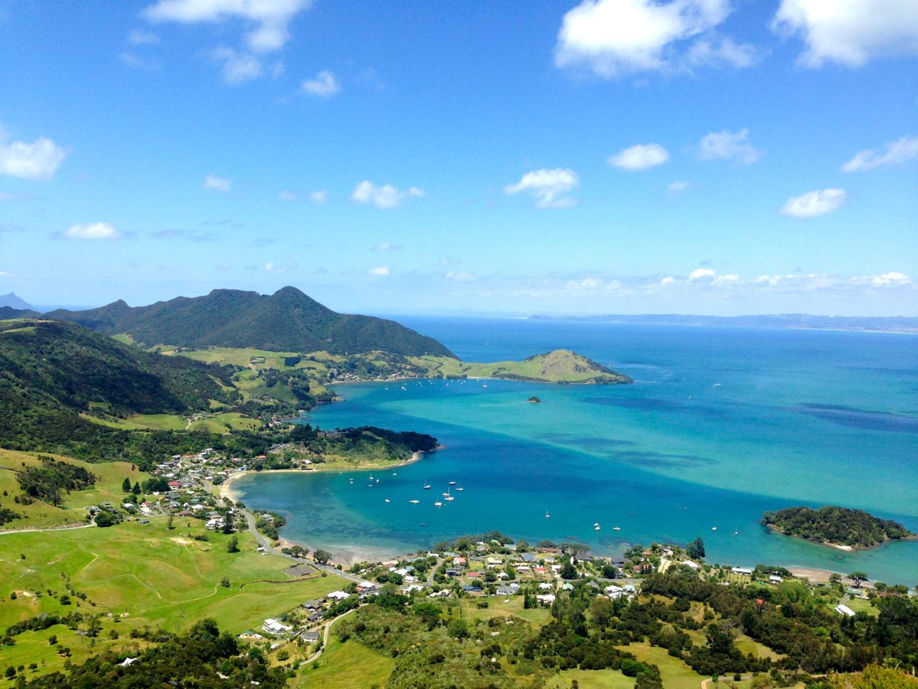 Te Huia view 2
