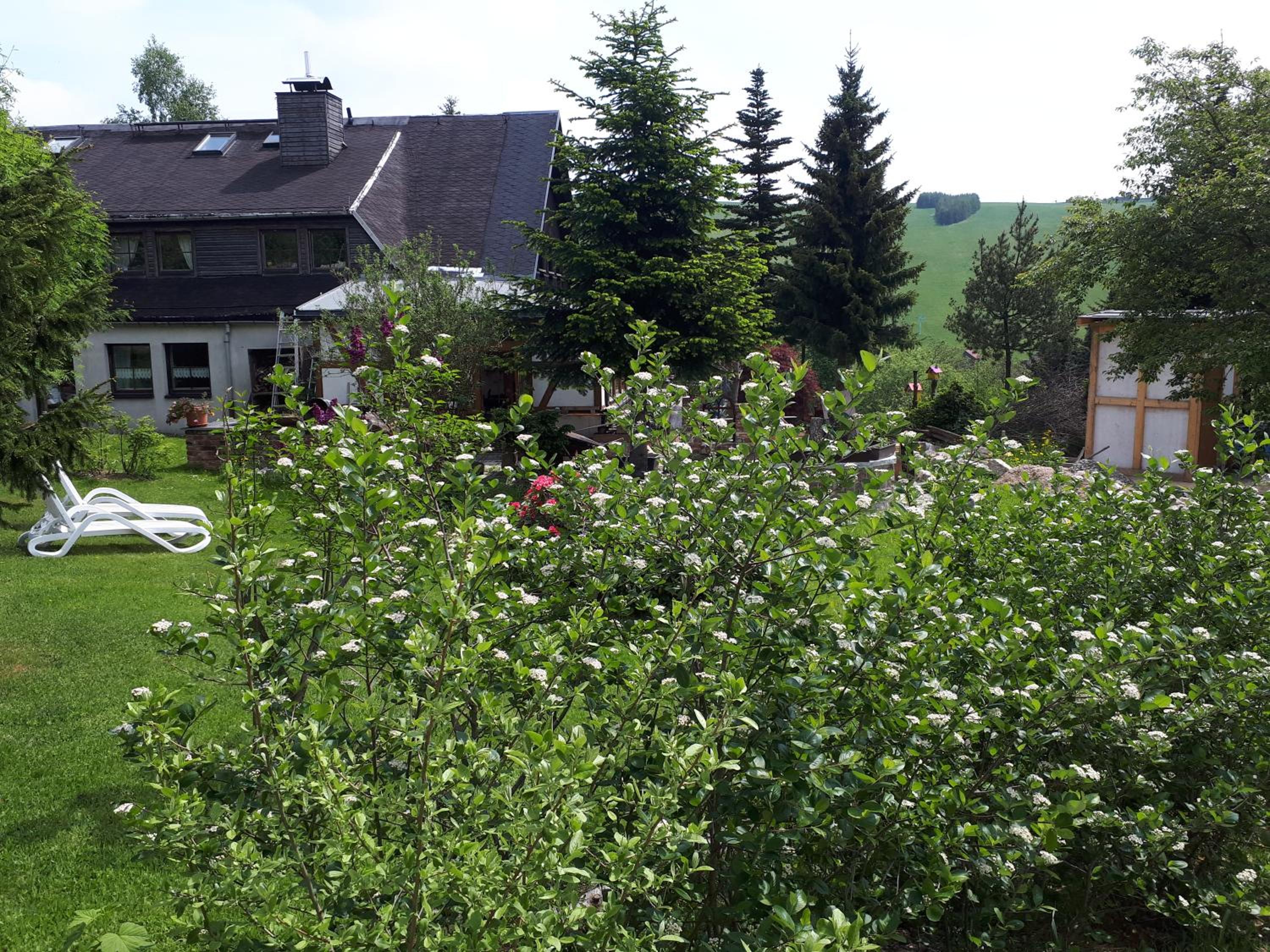 Ferienwohnung Aronia Garten